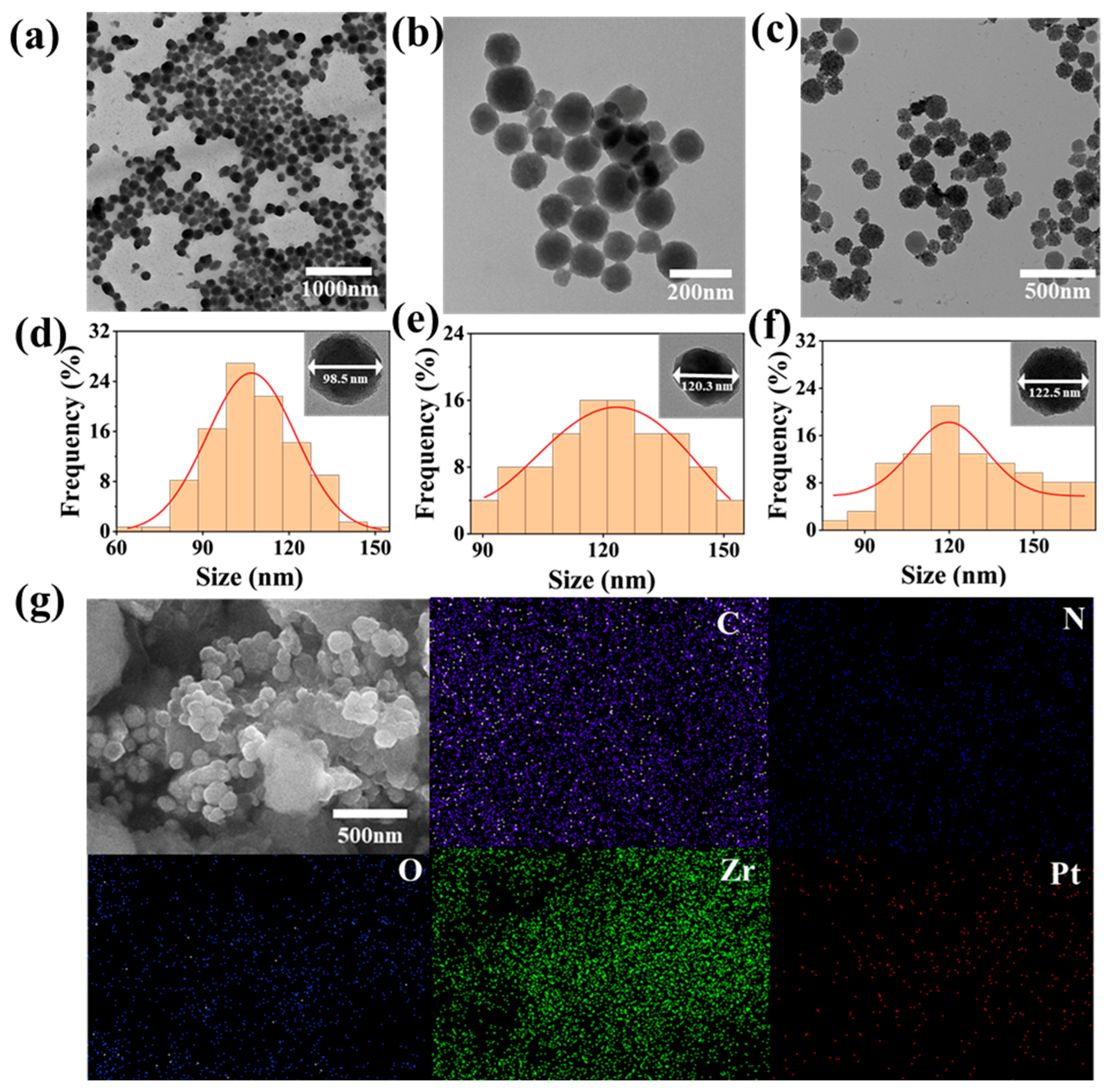 Biomolecules 15 01002 g002