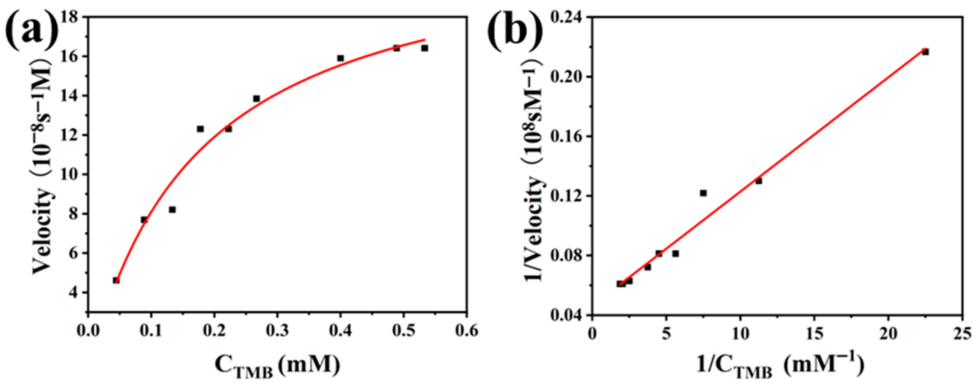 Biomolecules 15 01002 g005a