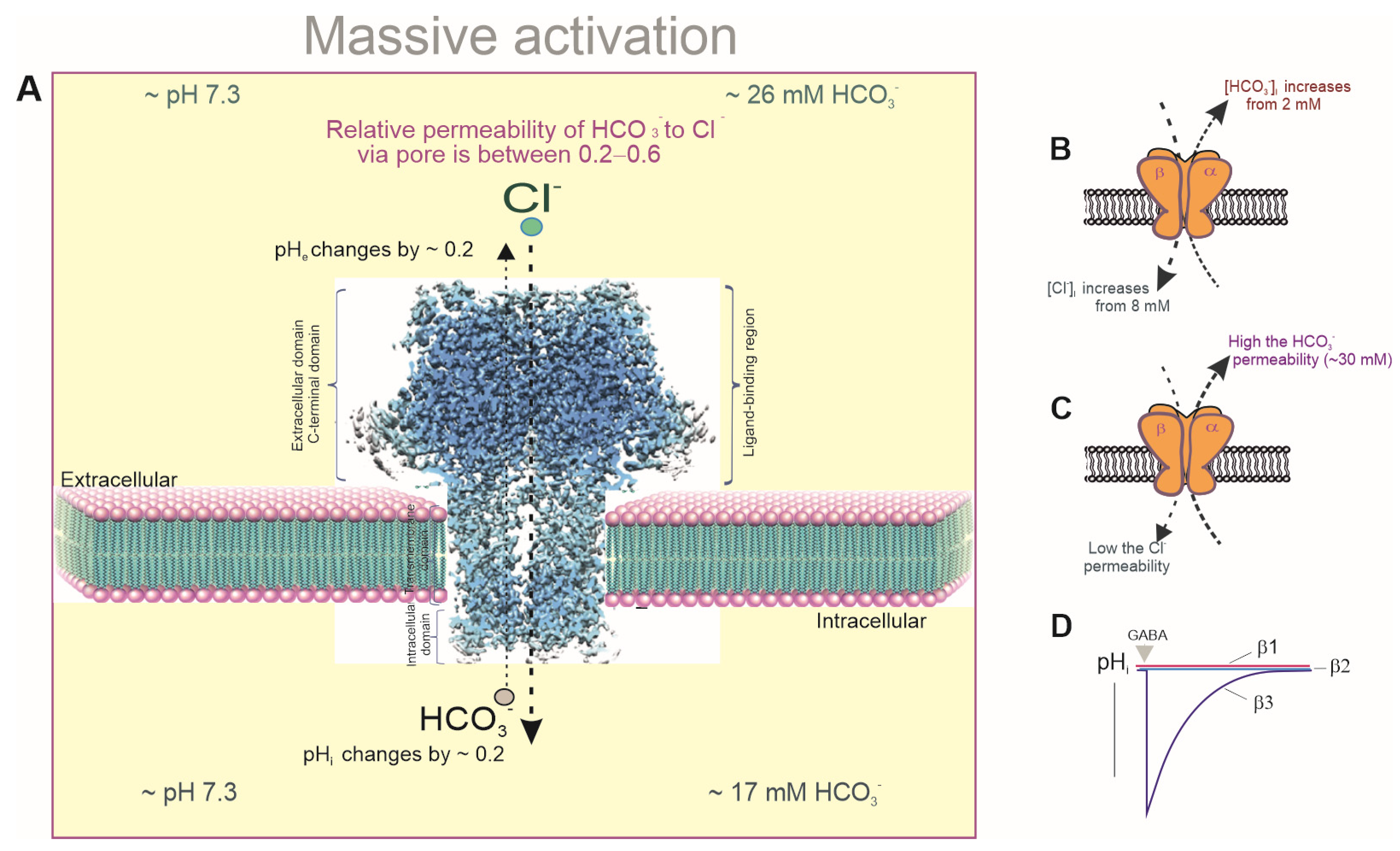 Biomolecules 15 01003 g002