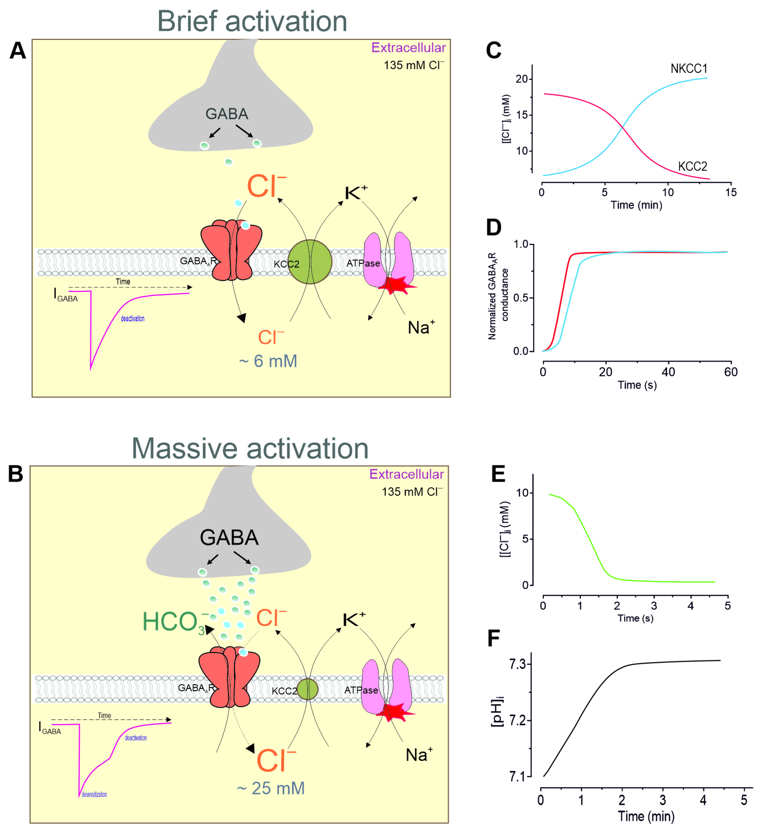 Biomolecules 15 01003 g003