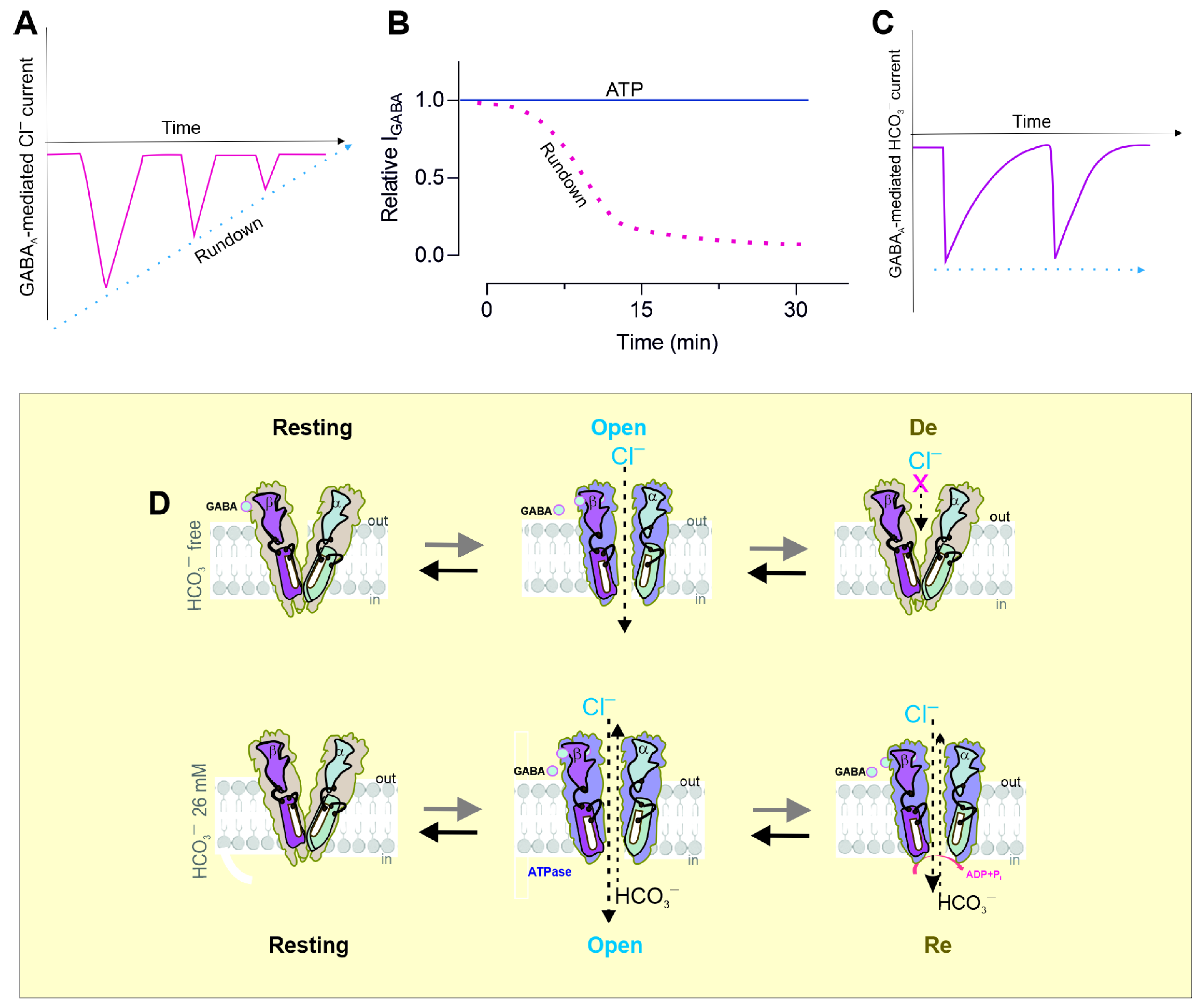 Biomolecules 15 01003 g004