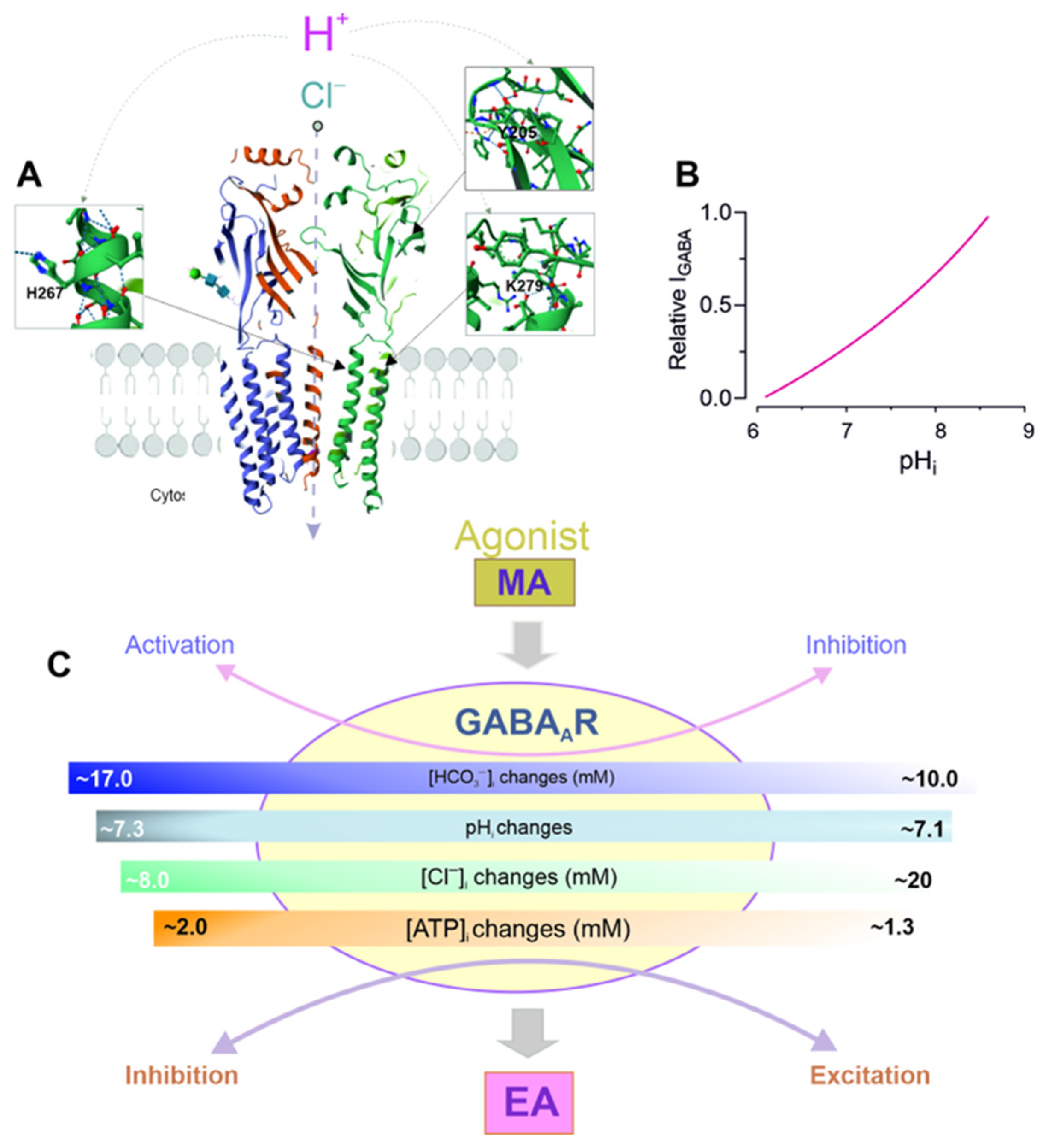 Biomolecules 15 01003 g005