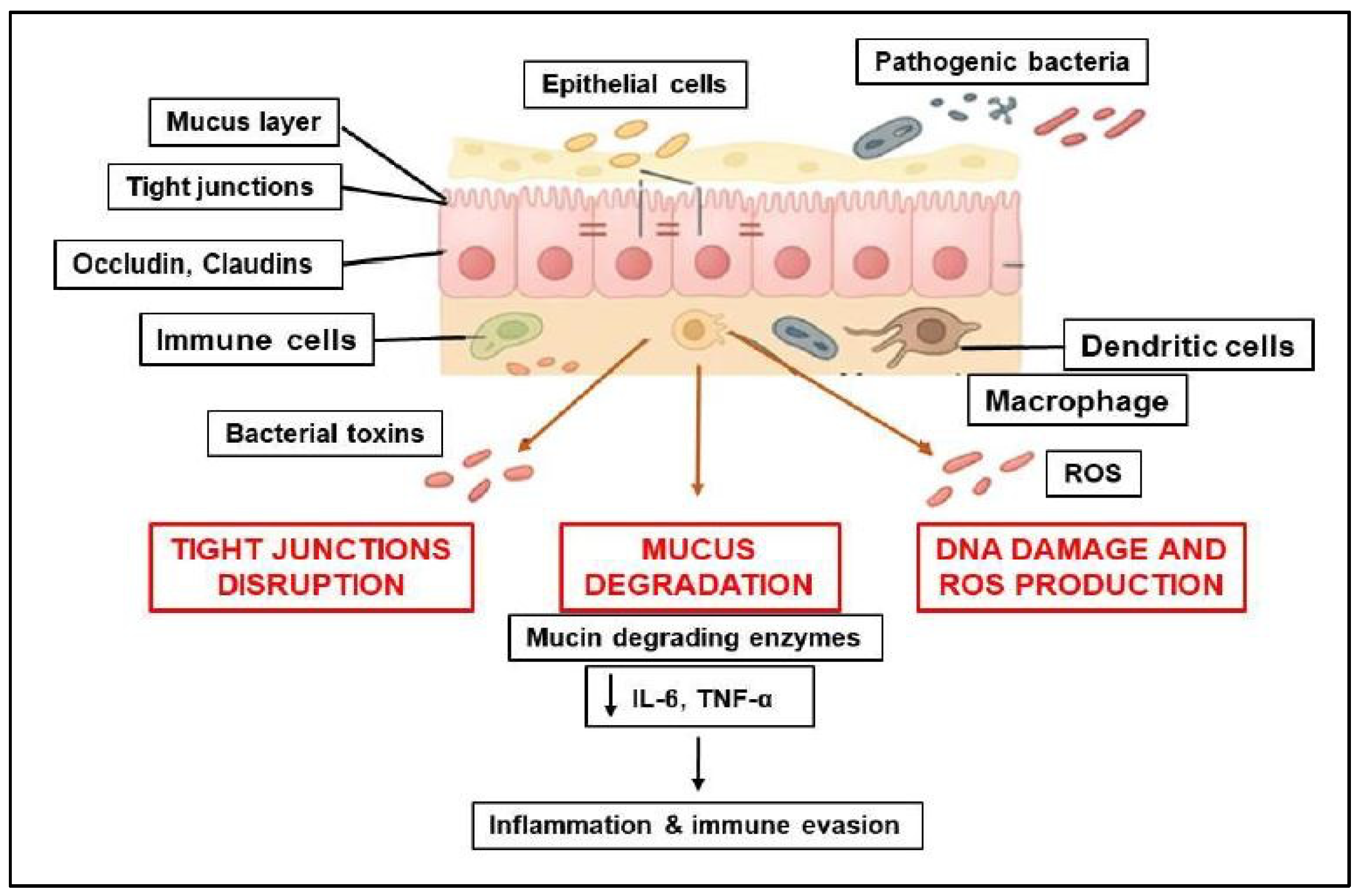 Biomolecules 15 01005 g002