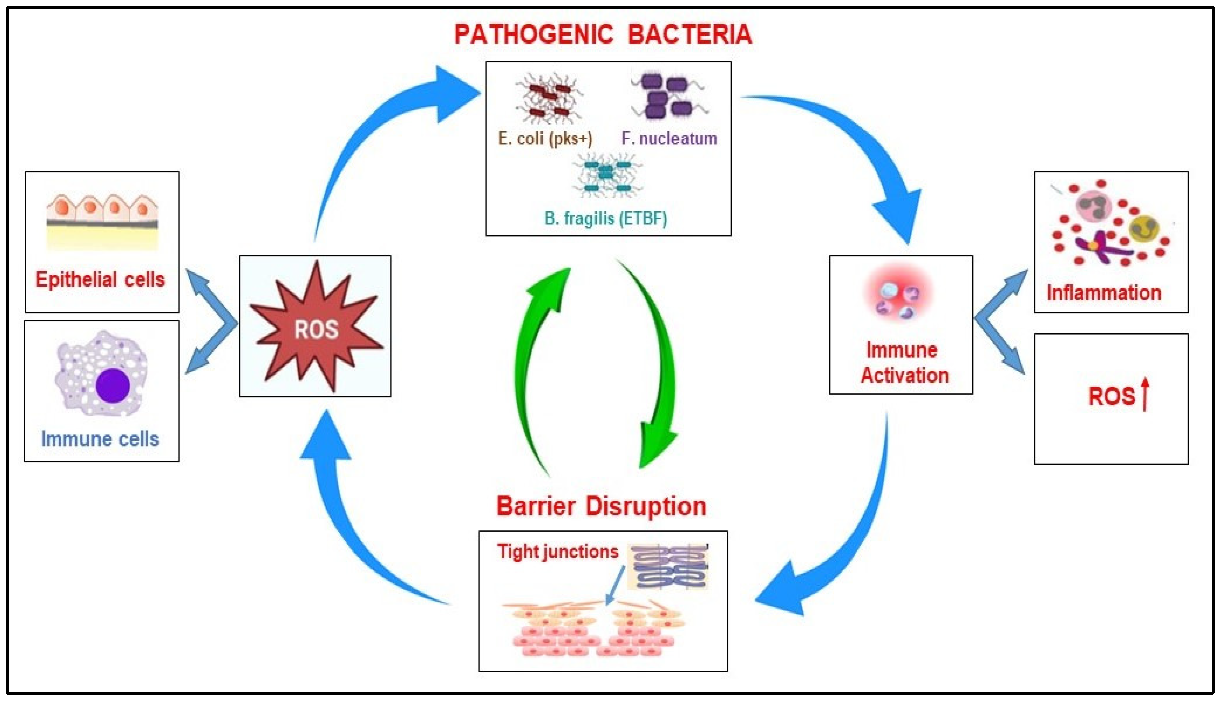Biomolecules 15 01005 g003