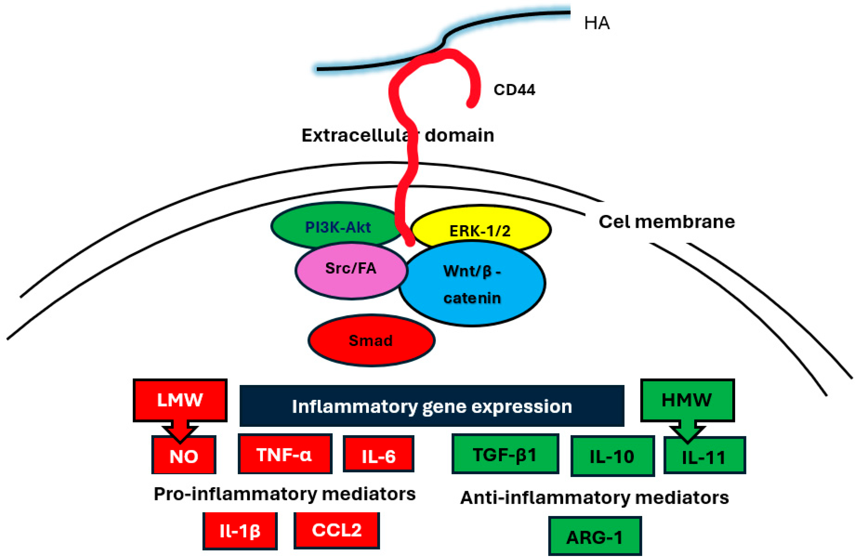 Biomolecules 15 01008 g002