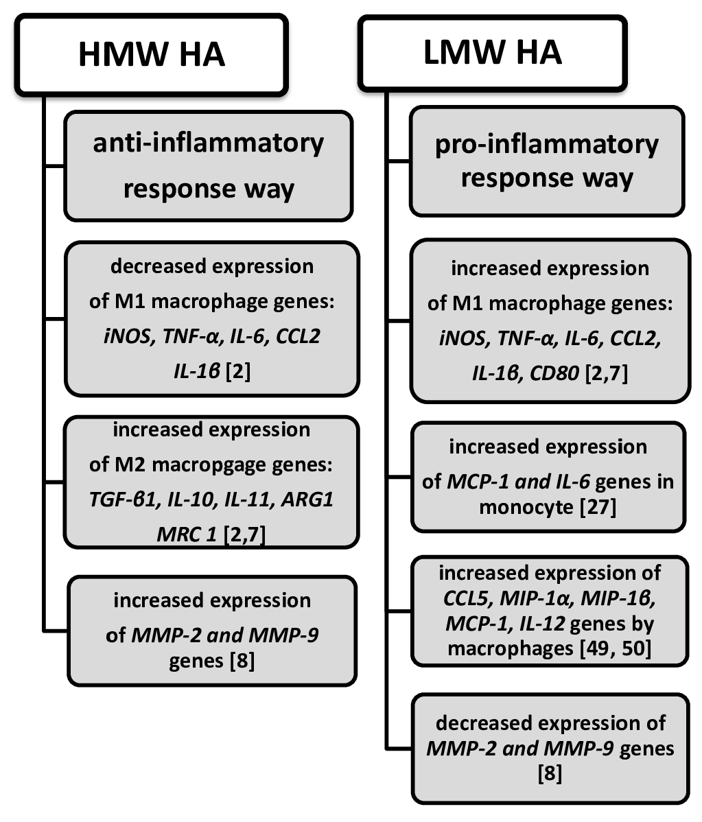 Biomolecules 15 01008 sch002