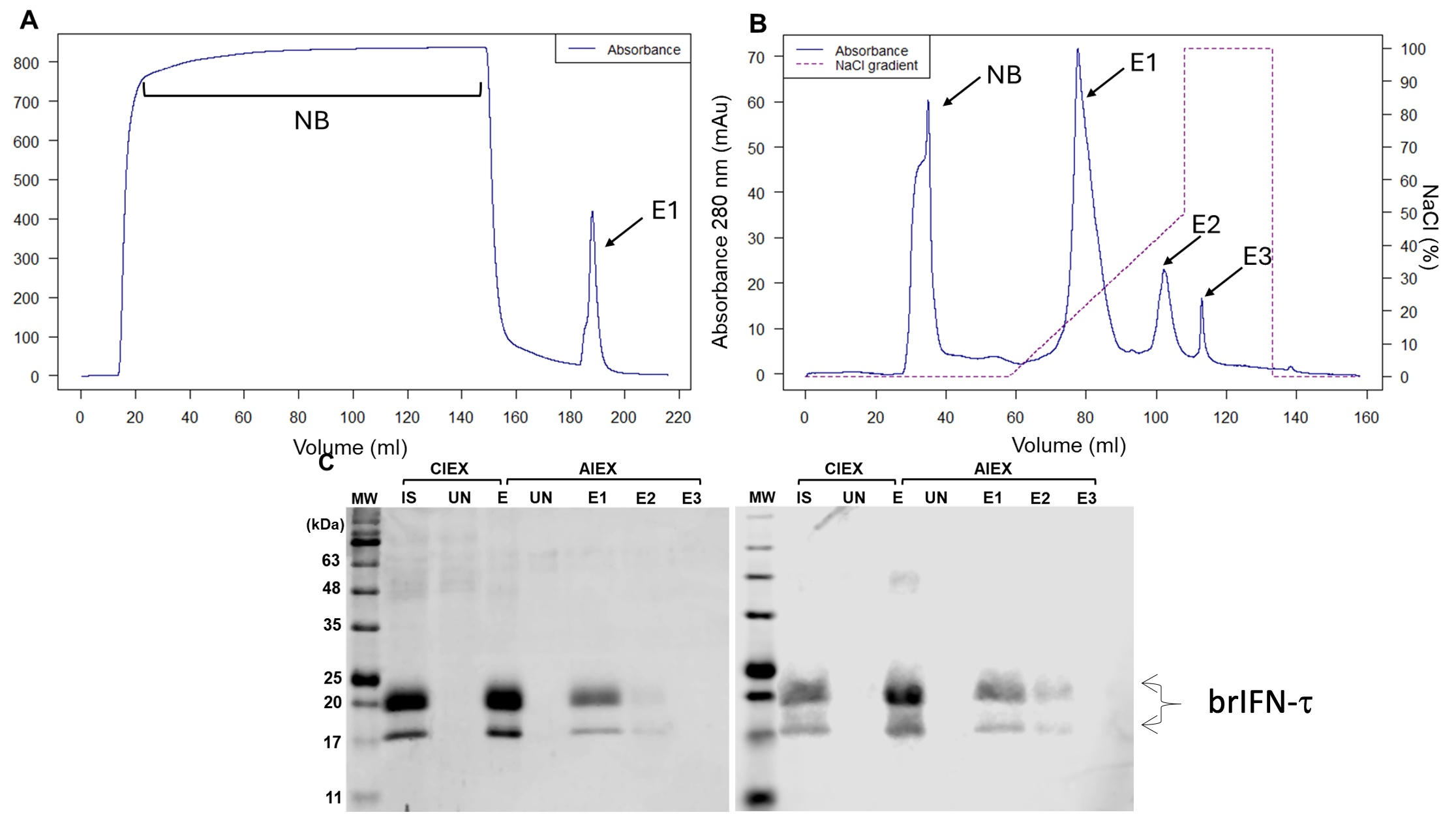 Biomolecules 15 01009 g004