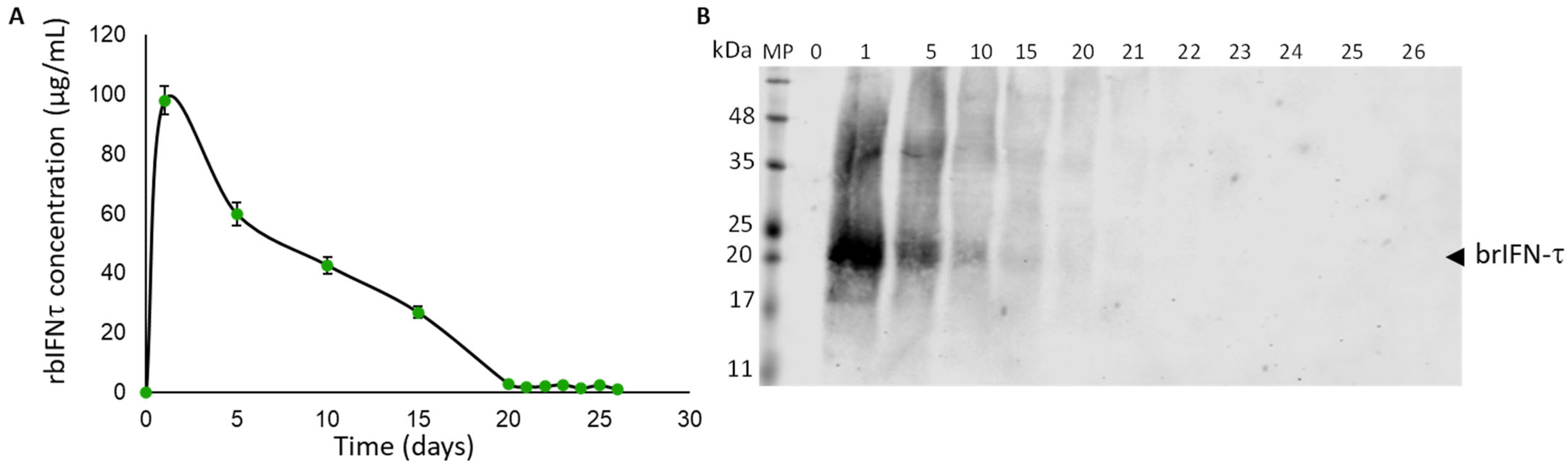 Biomolecules 15 01009 g007