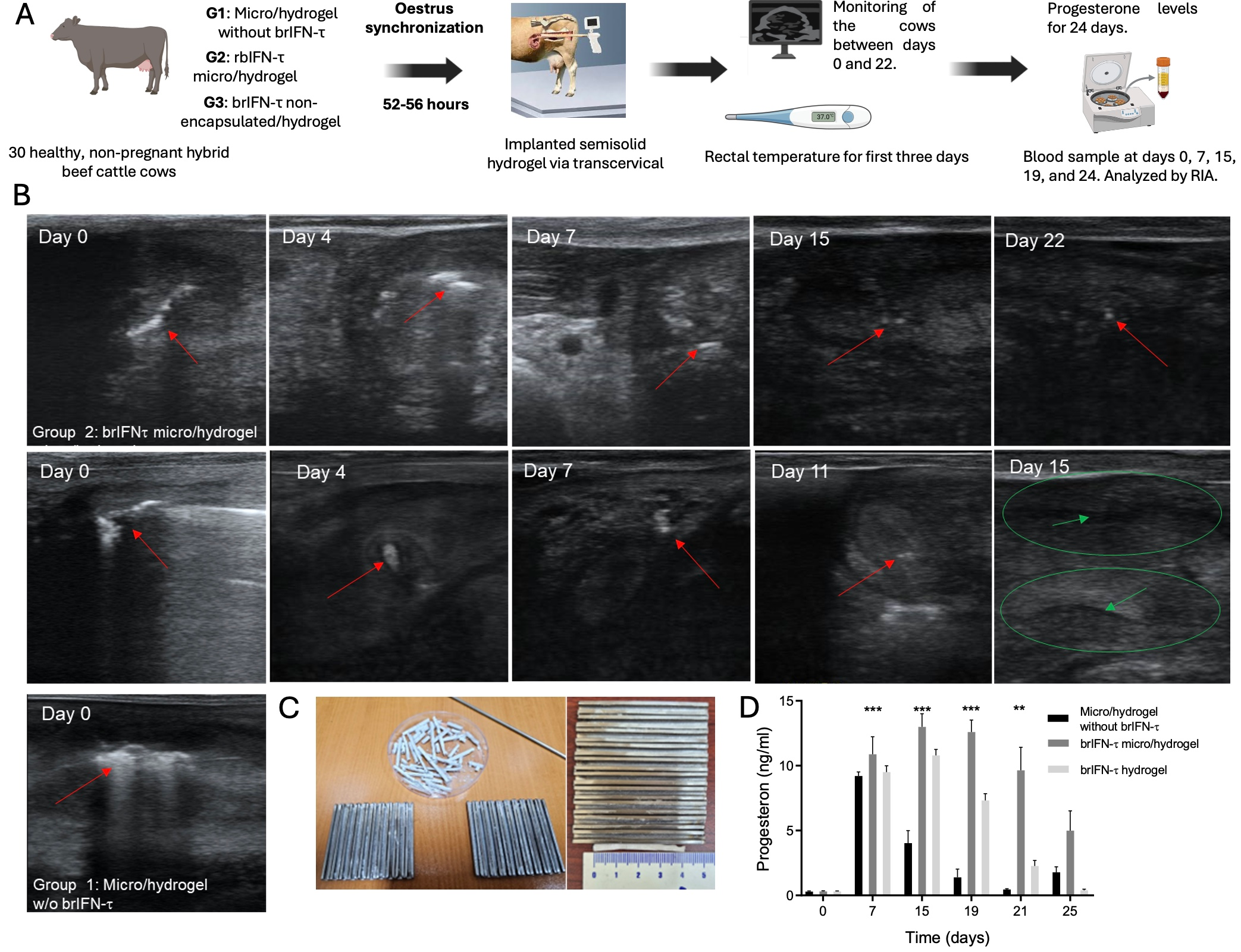 Biomolecules 15 01009 g011