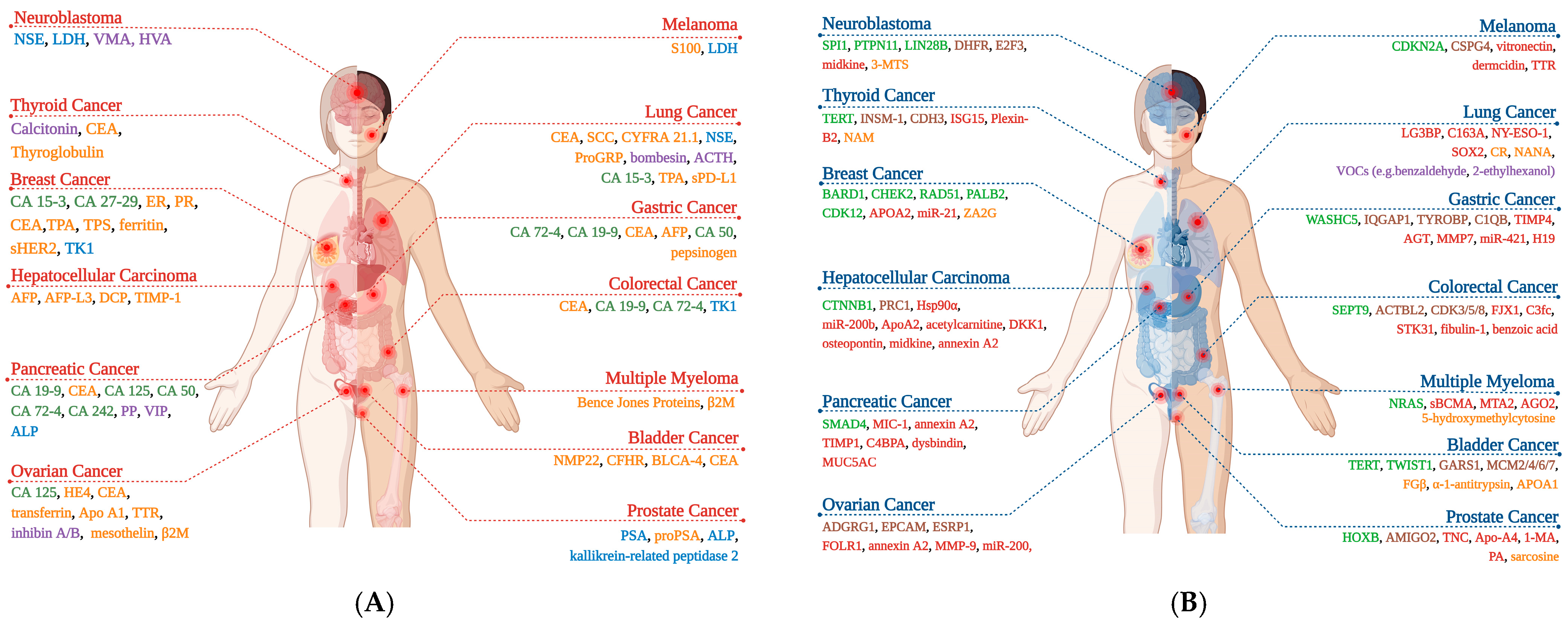 Biomolecules 15 01011 g001