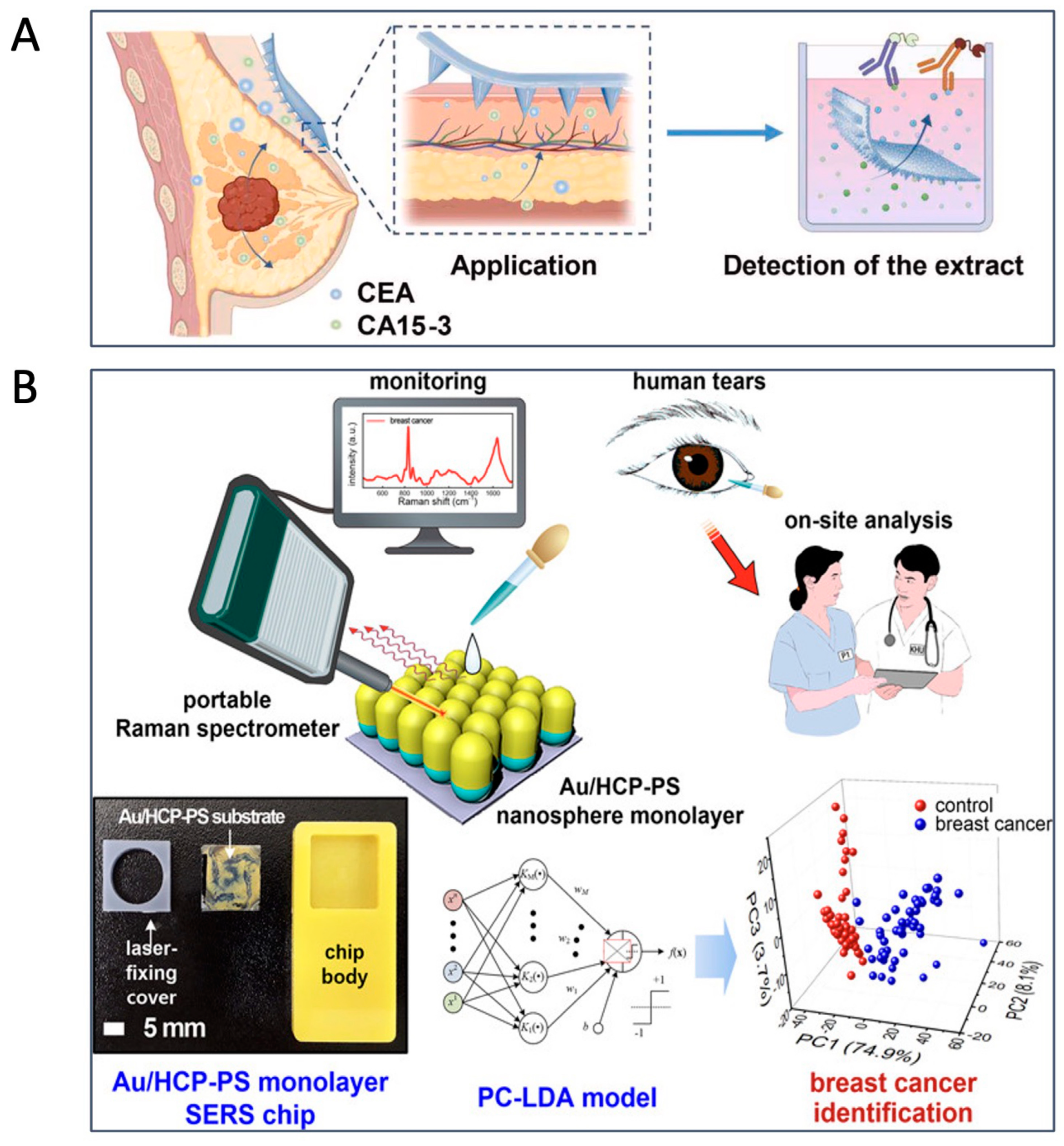 Biomolecules 15 01011 g003