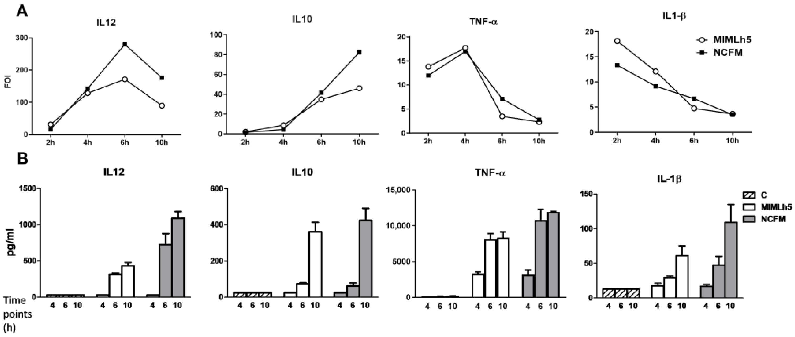 Biomolecules 15 01012 g002