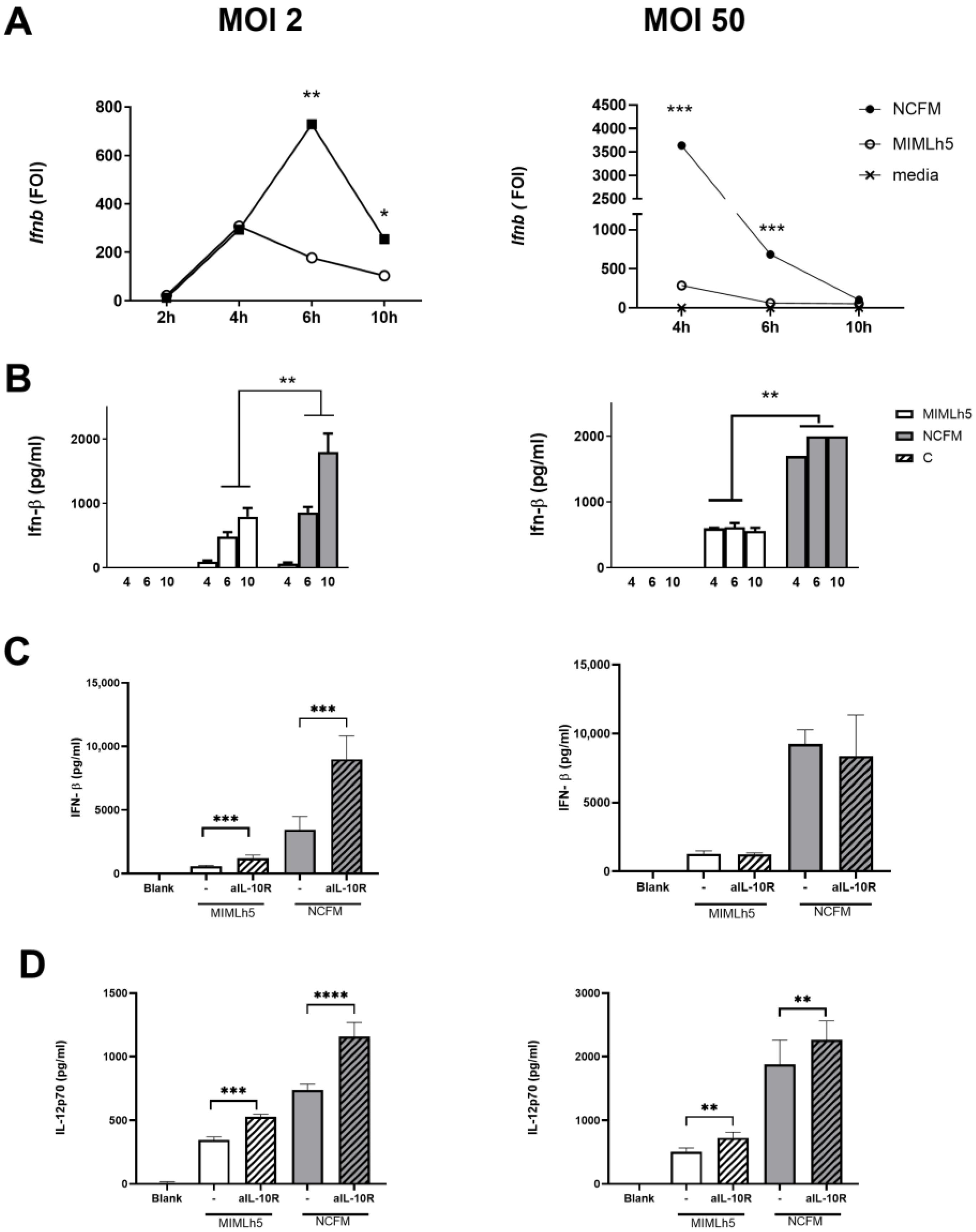 Biomolecules 15 01012 g004