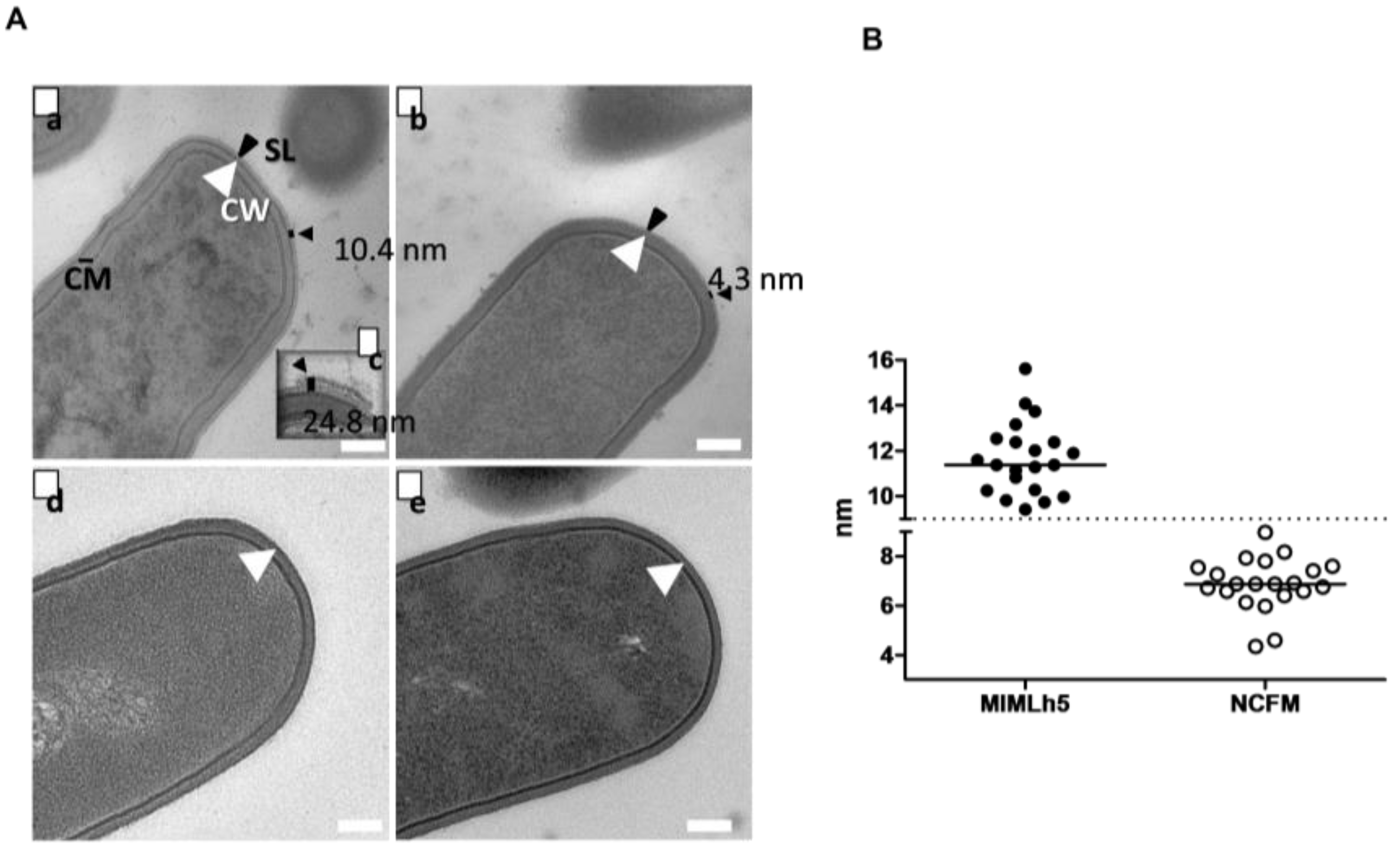 Biomolecules 15 01012 g007