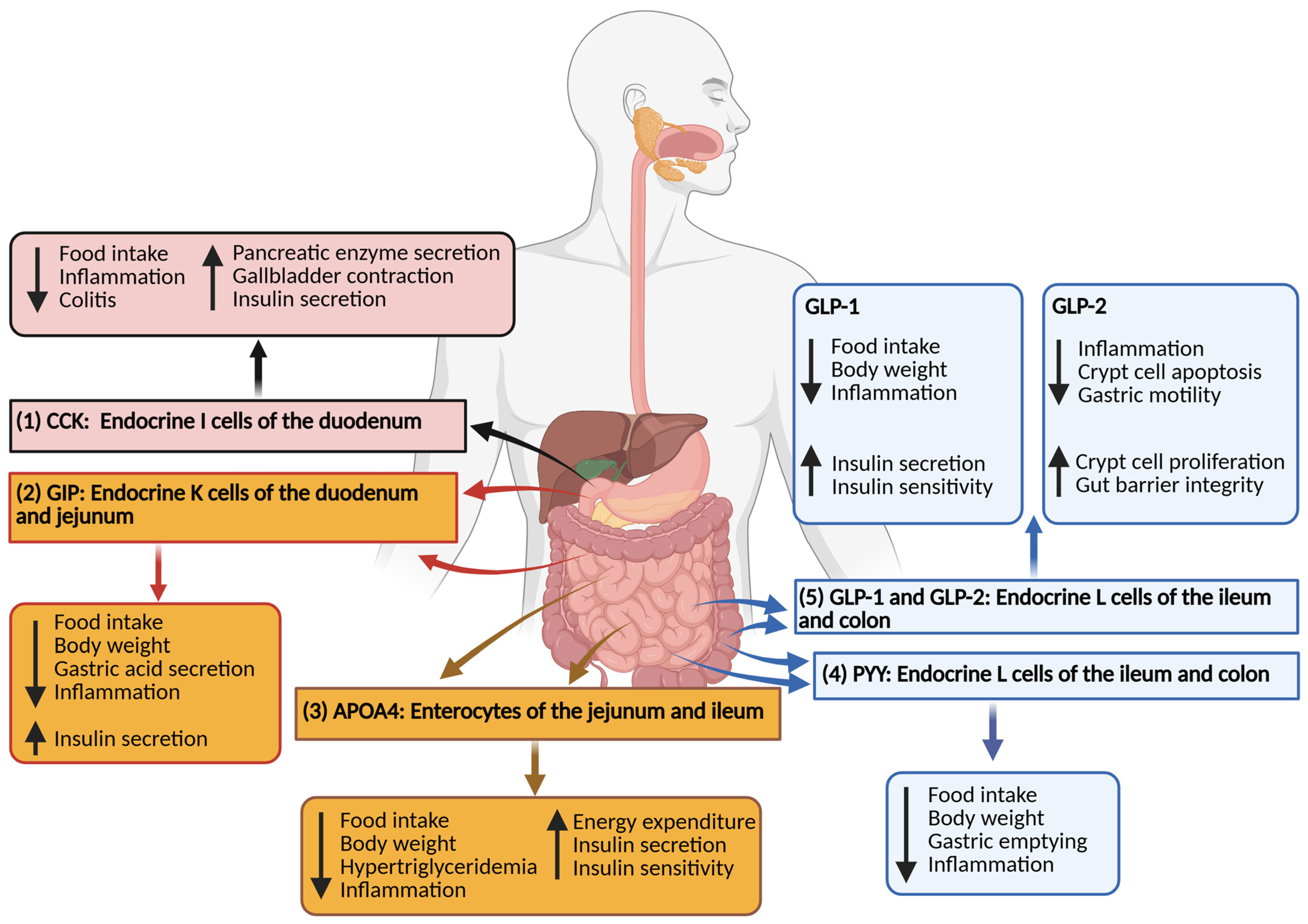 Biomolecules 15 01013 g002 Biomolecules 15 01013 g002