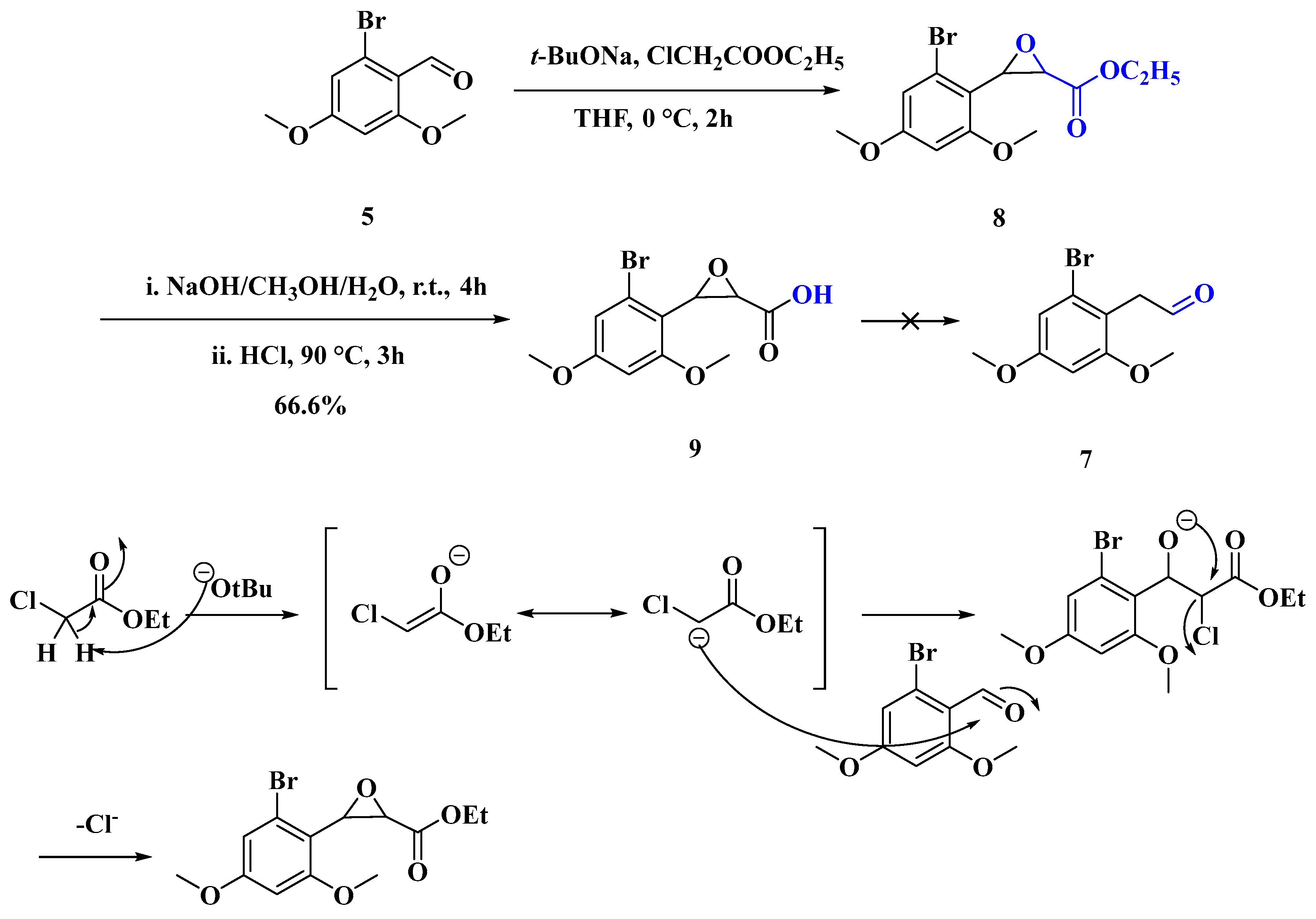 Biomolecules 15 01014 sch004