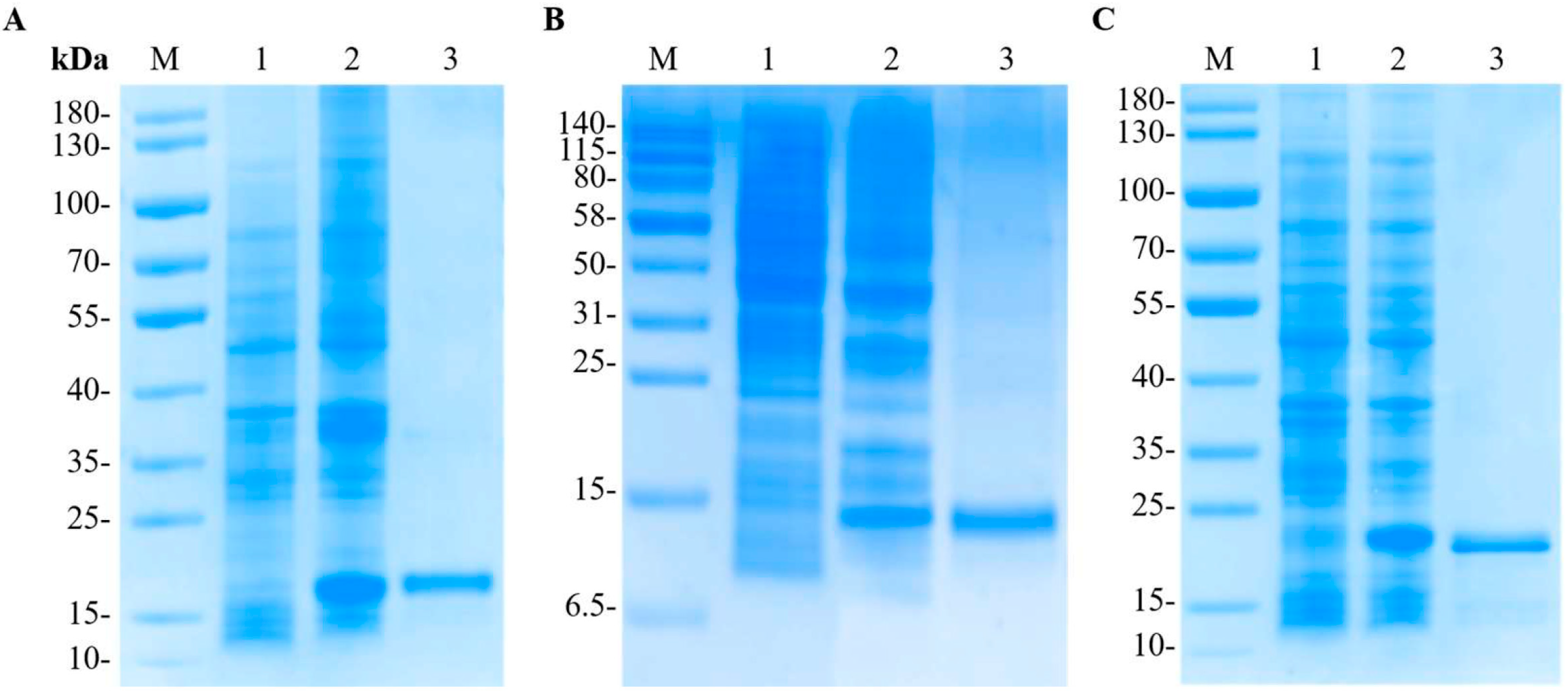 Biomolecules 15 01015 g003