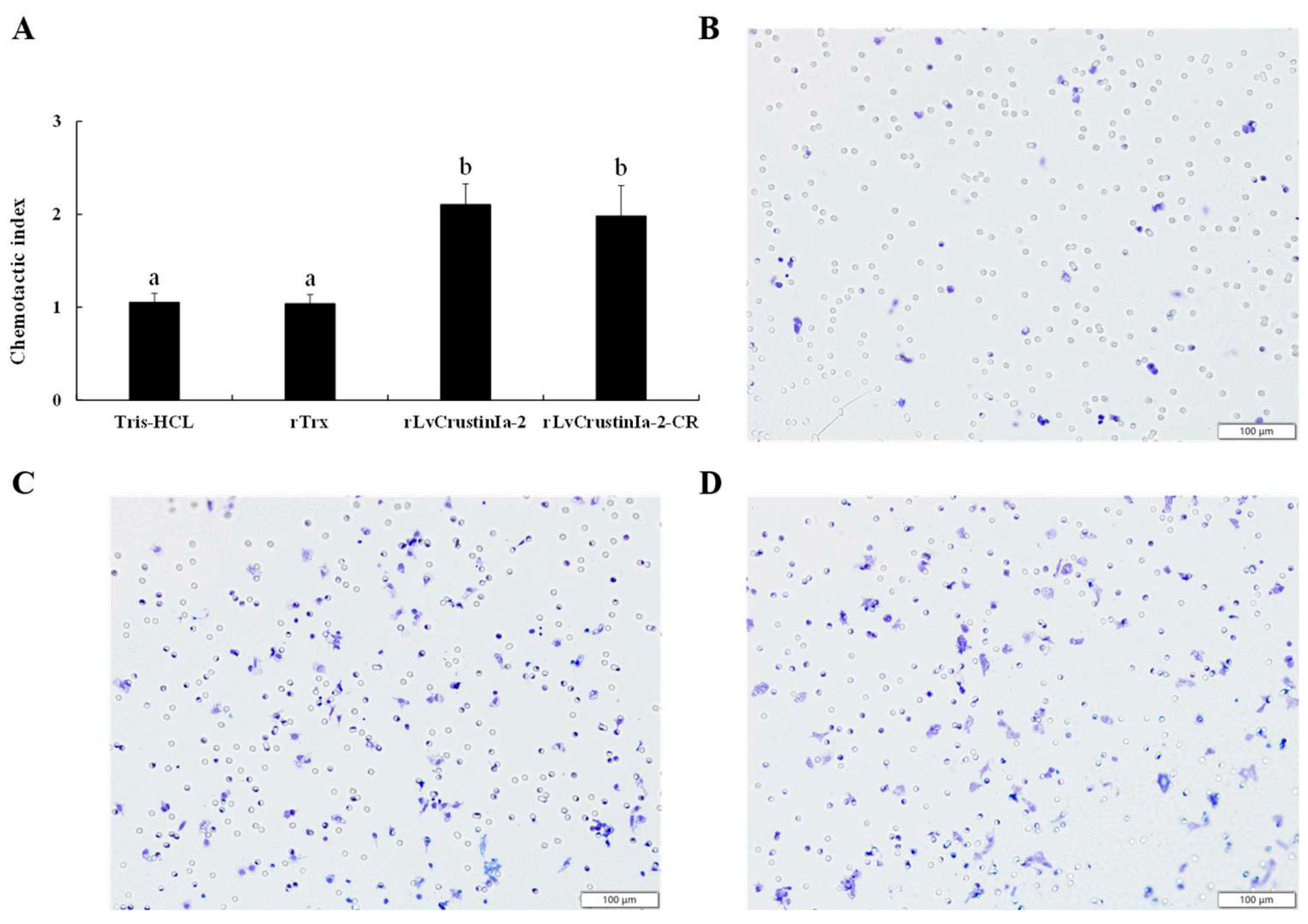 Biomolecules 15 01015 g006