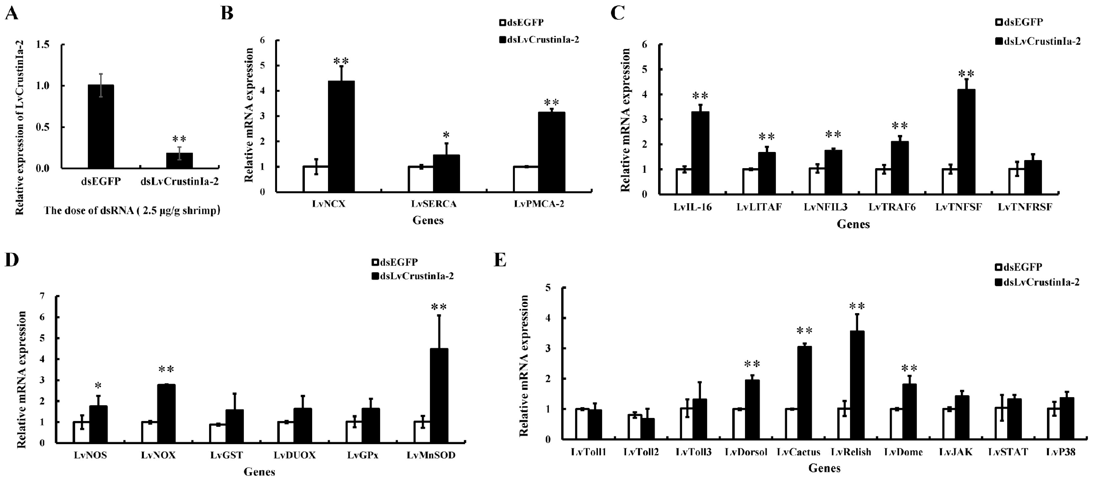 Biomolecules 15 01015 g007