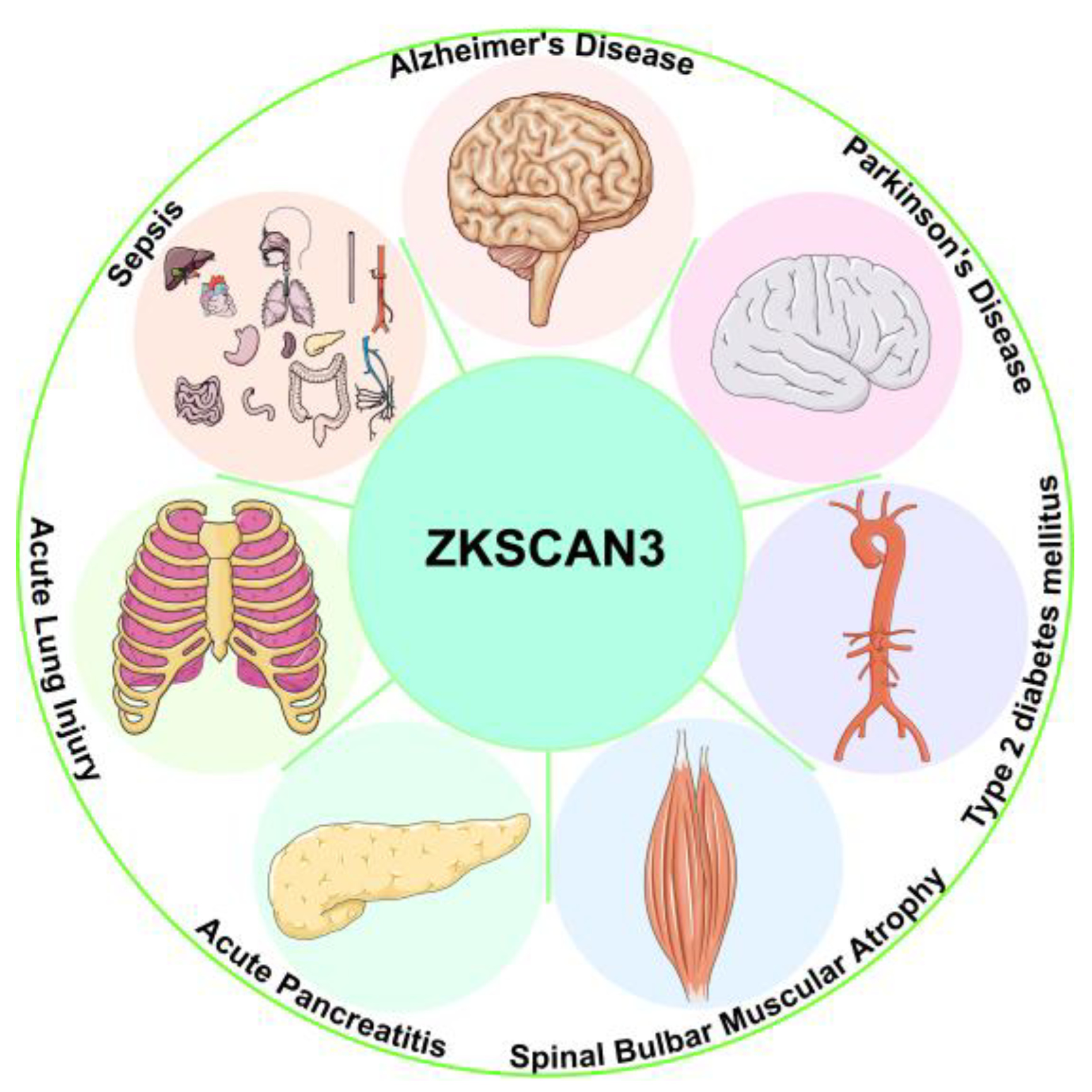 Biomolecules 15 01016 g004