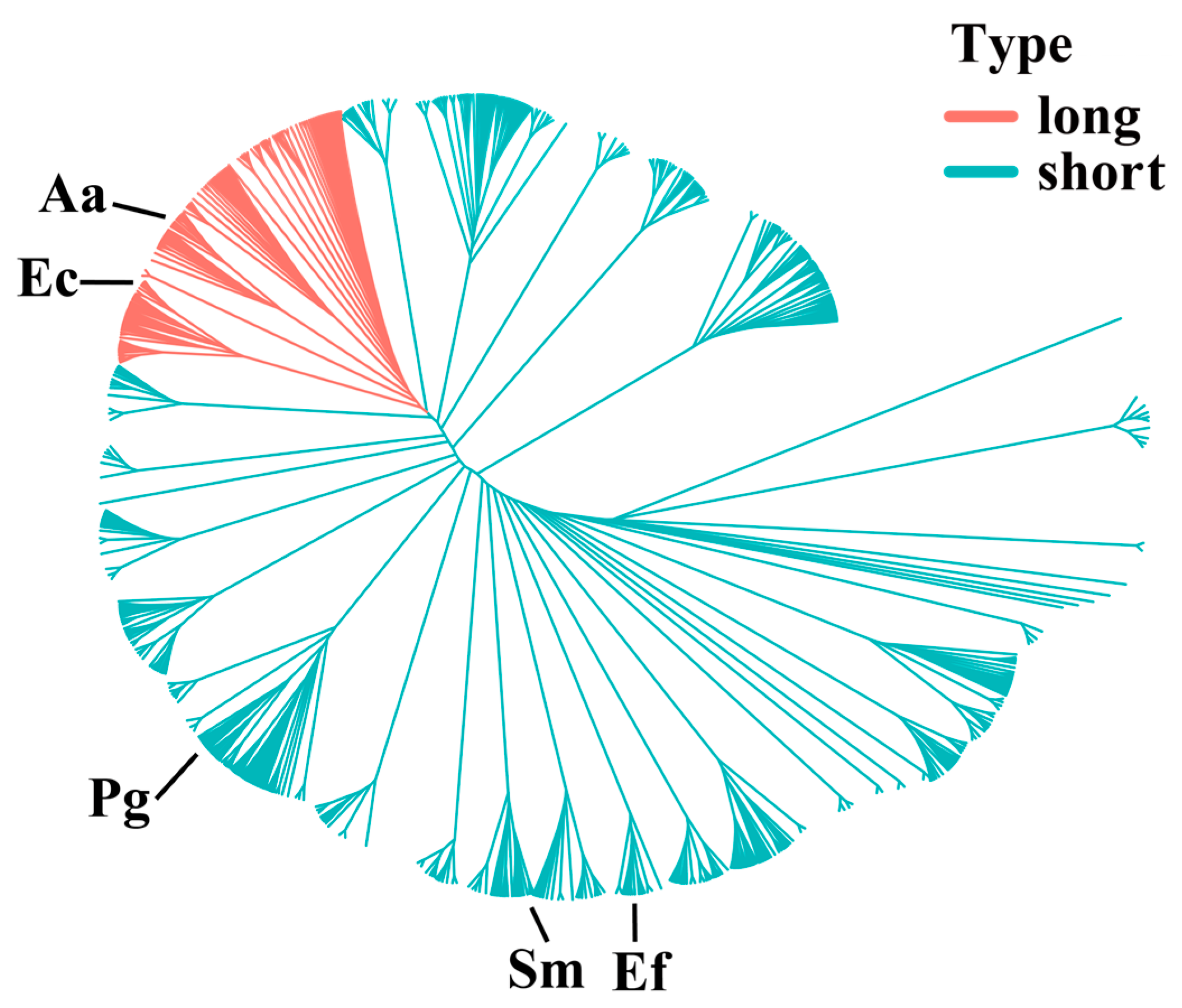 Biomolecules 15 01018 g001