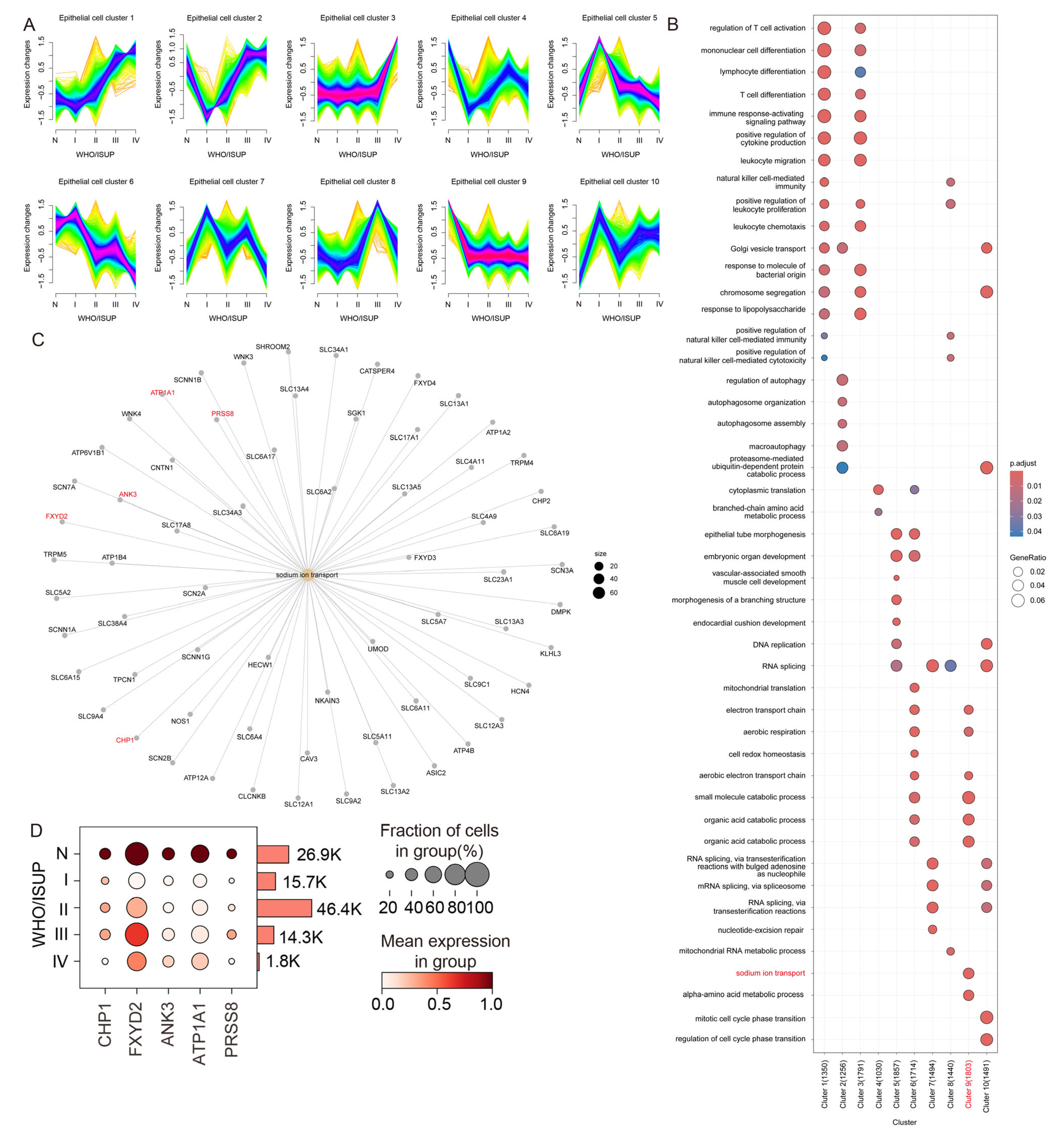 Biomolecules 15 01019 g002