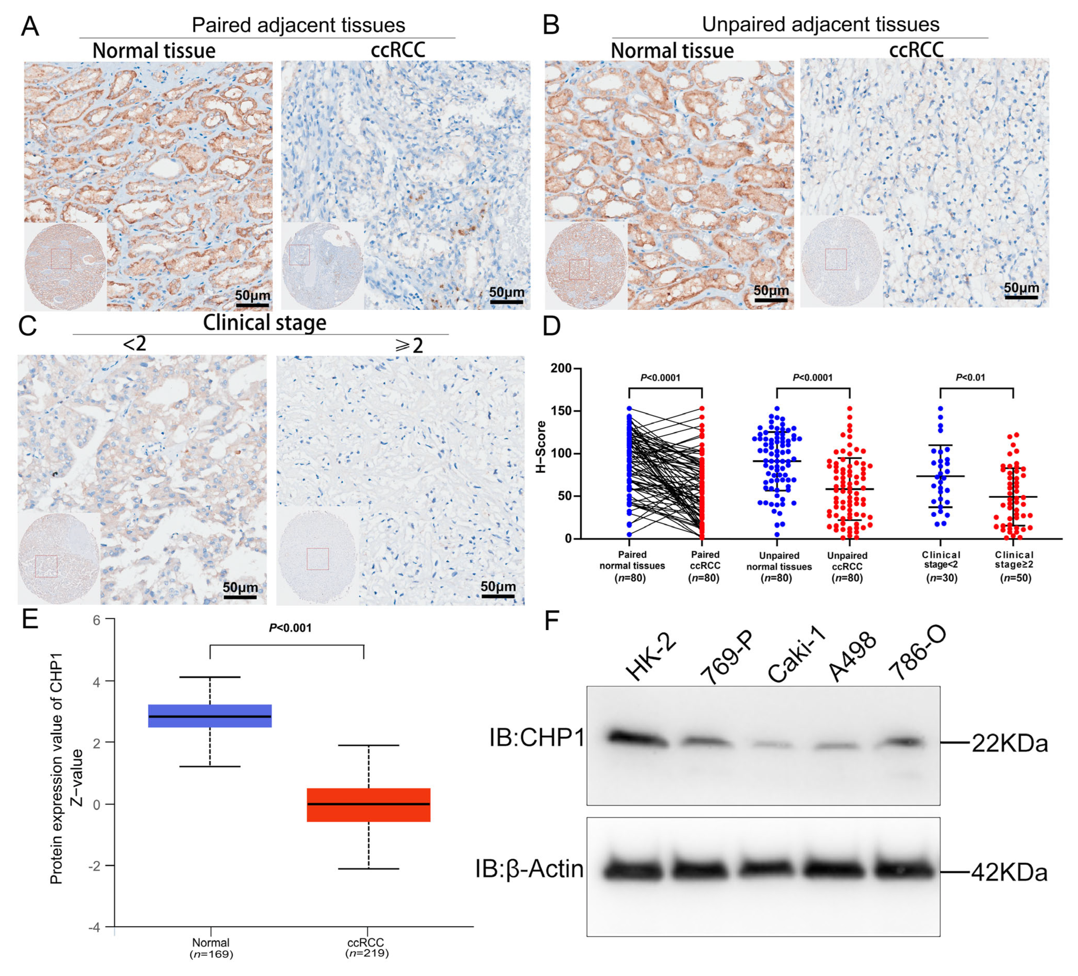 Biomolecules 15 01019 g004
