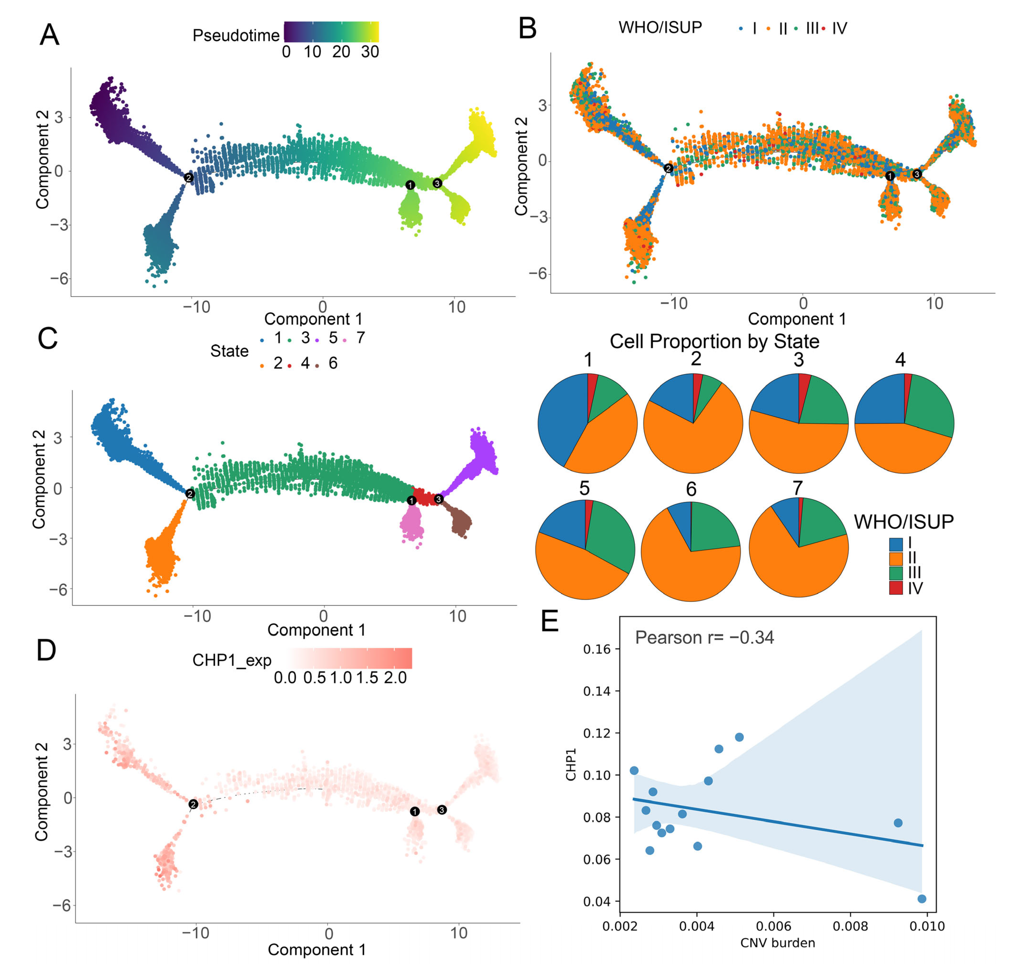 Biomolecules 15 01019 g006