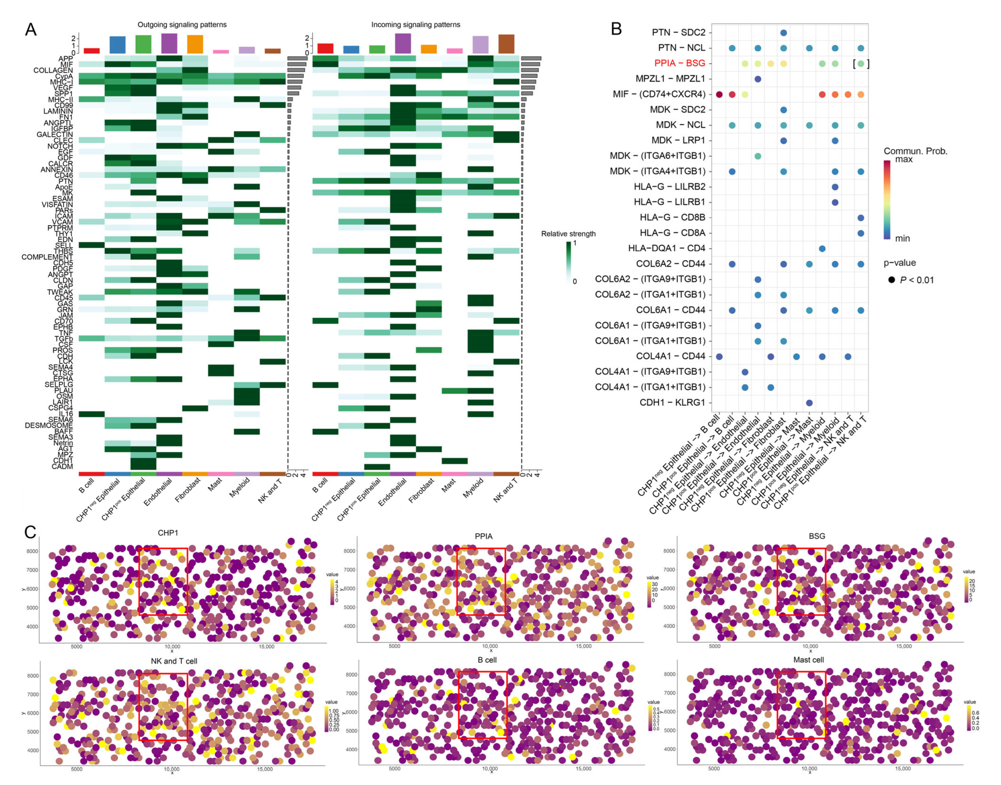 Biomolecules 15 01019 g007