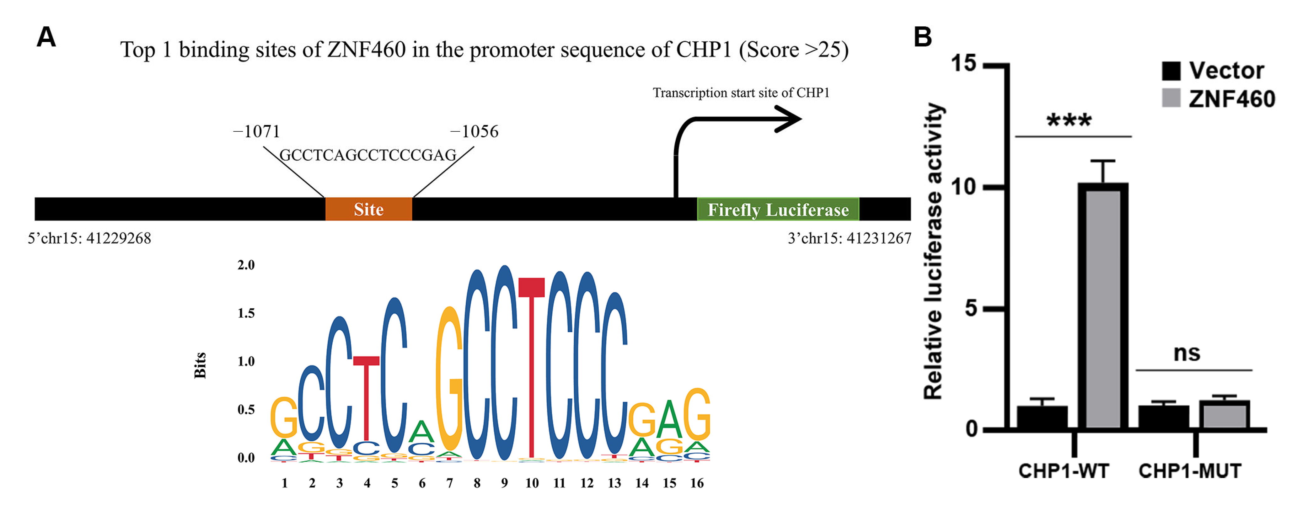 Biomolecules 15 01019 g009