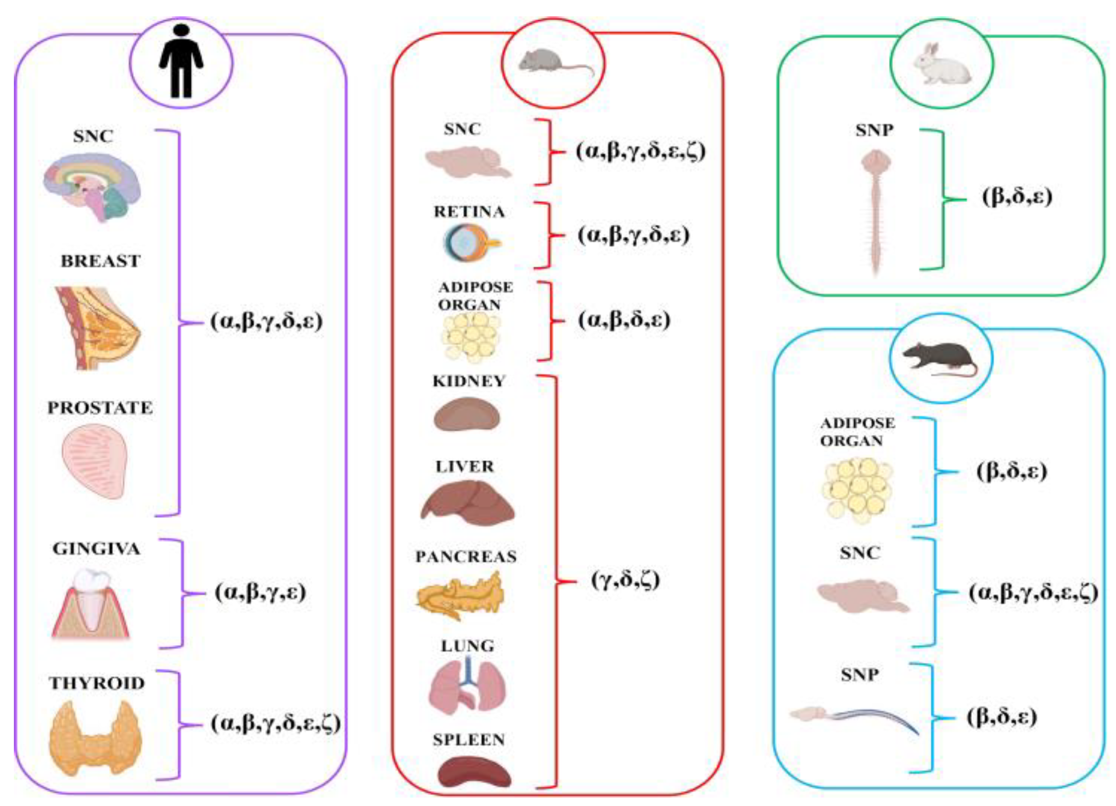 Biomolecules 15 01020 g002