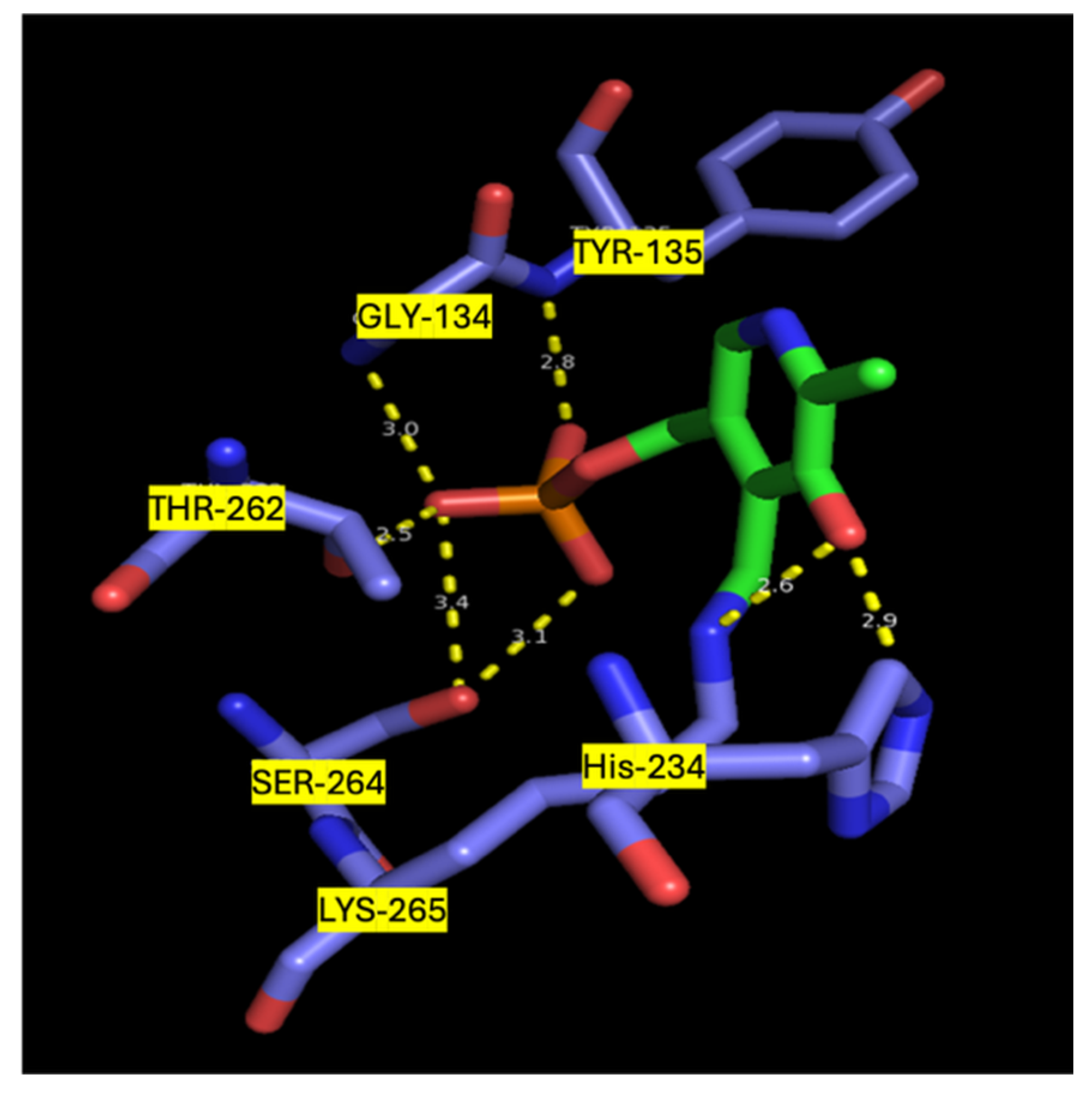 Biomolecules 15 01022 g003 Biomolecules 15 01022 g003