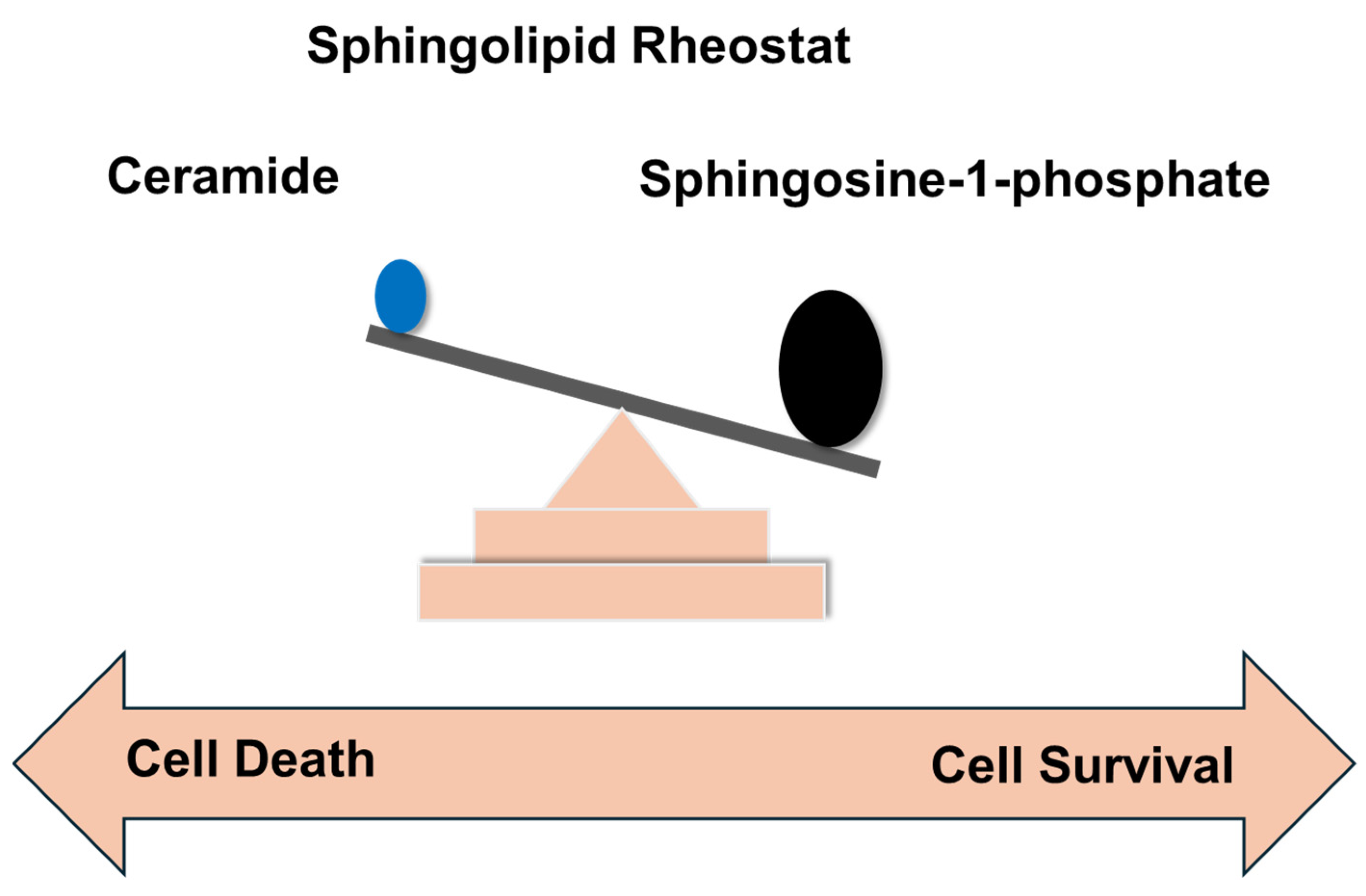 Biomolecules 15 01022 g006 Biomolecules 15 01022 g006