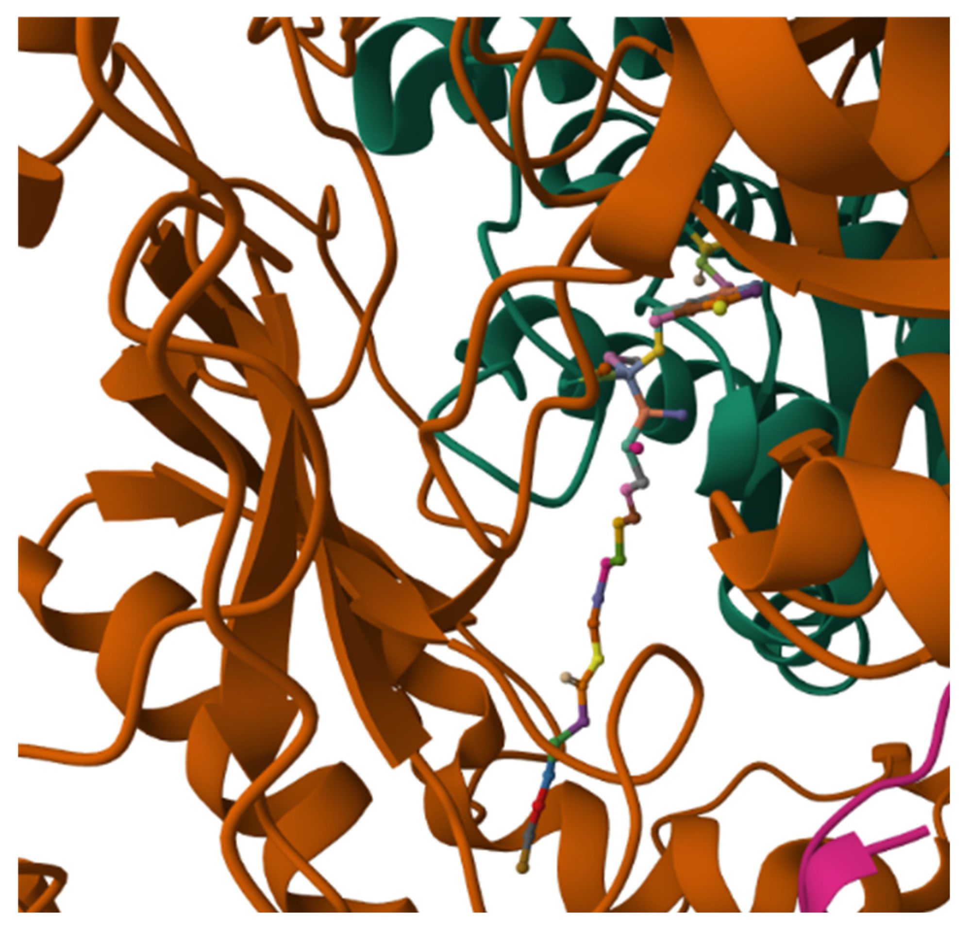 Biomolecules 15 01022 g009 Biomolecules 15 01022 g009