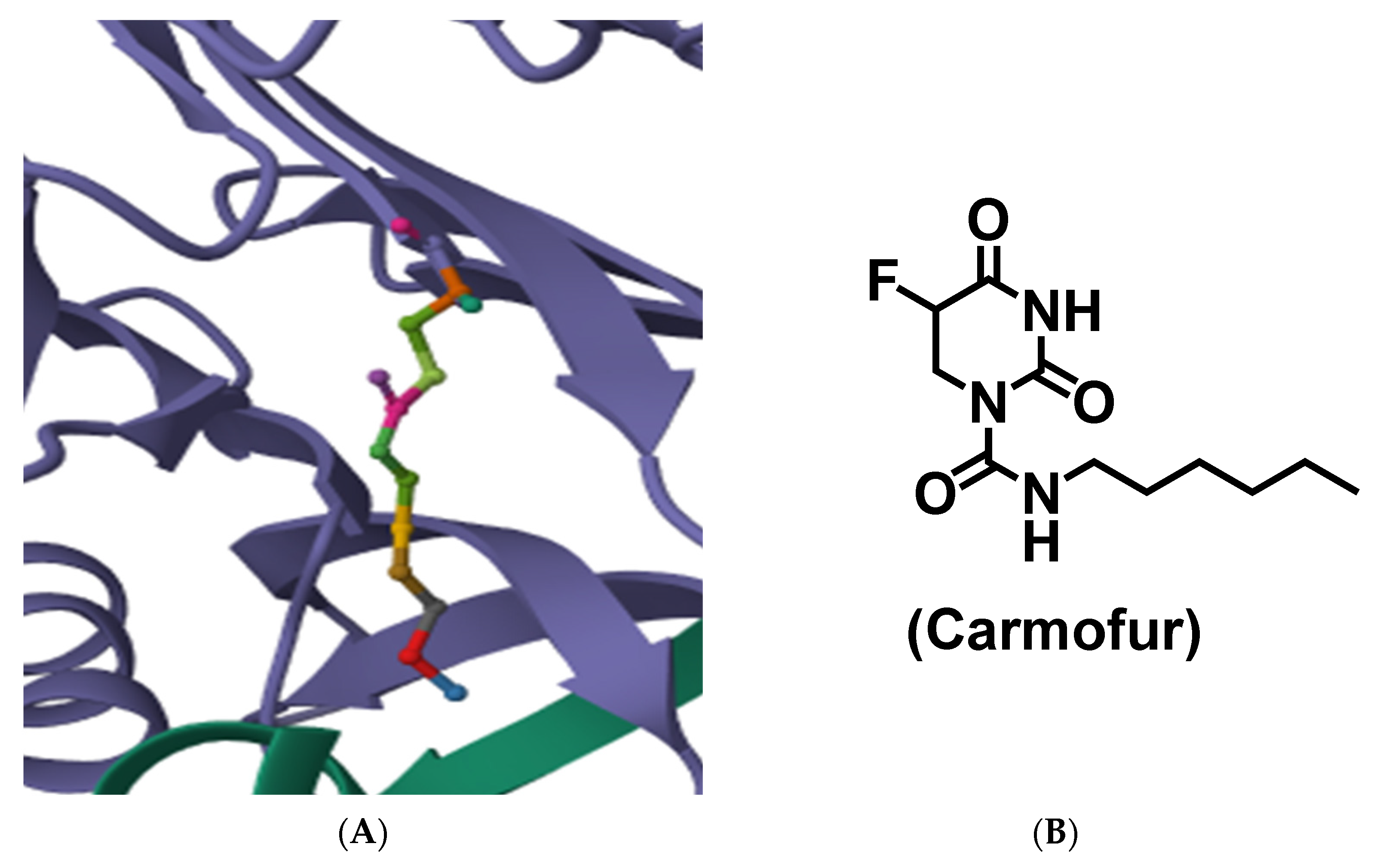 Biomolecules 15 01022 g021 Biomolecules 15 01022 g021