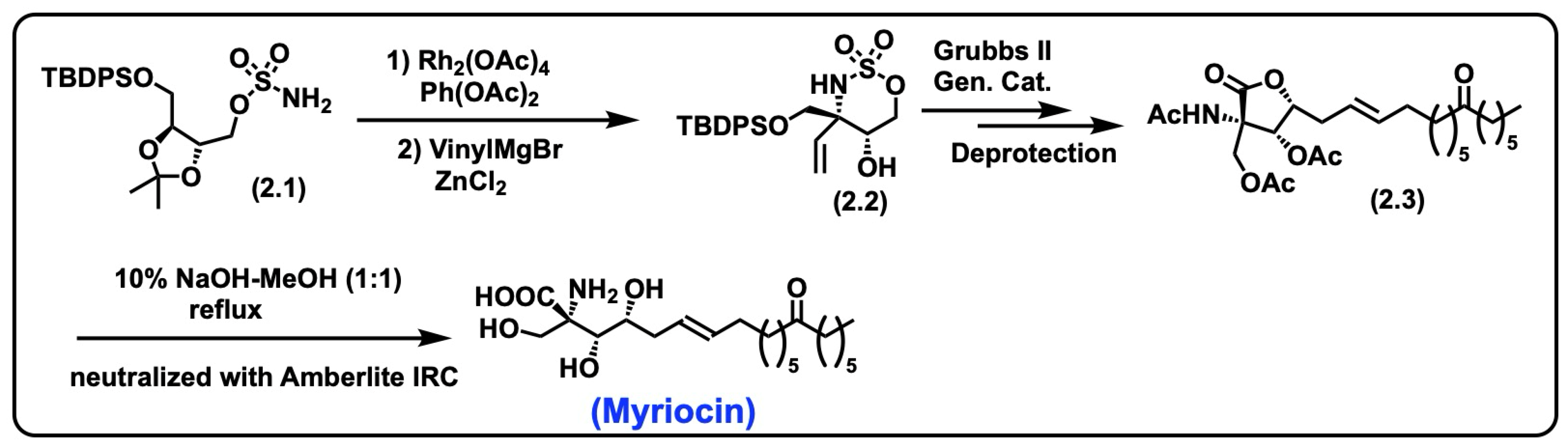 Biomolecules 15 01022 sch002 Biomolecules 15 01022 sch002