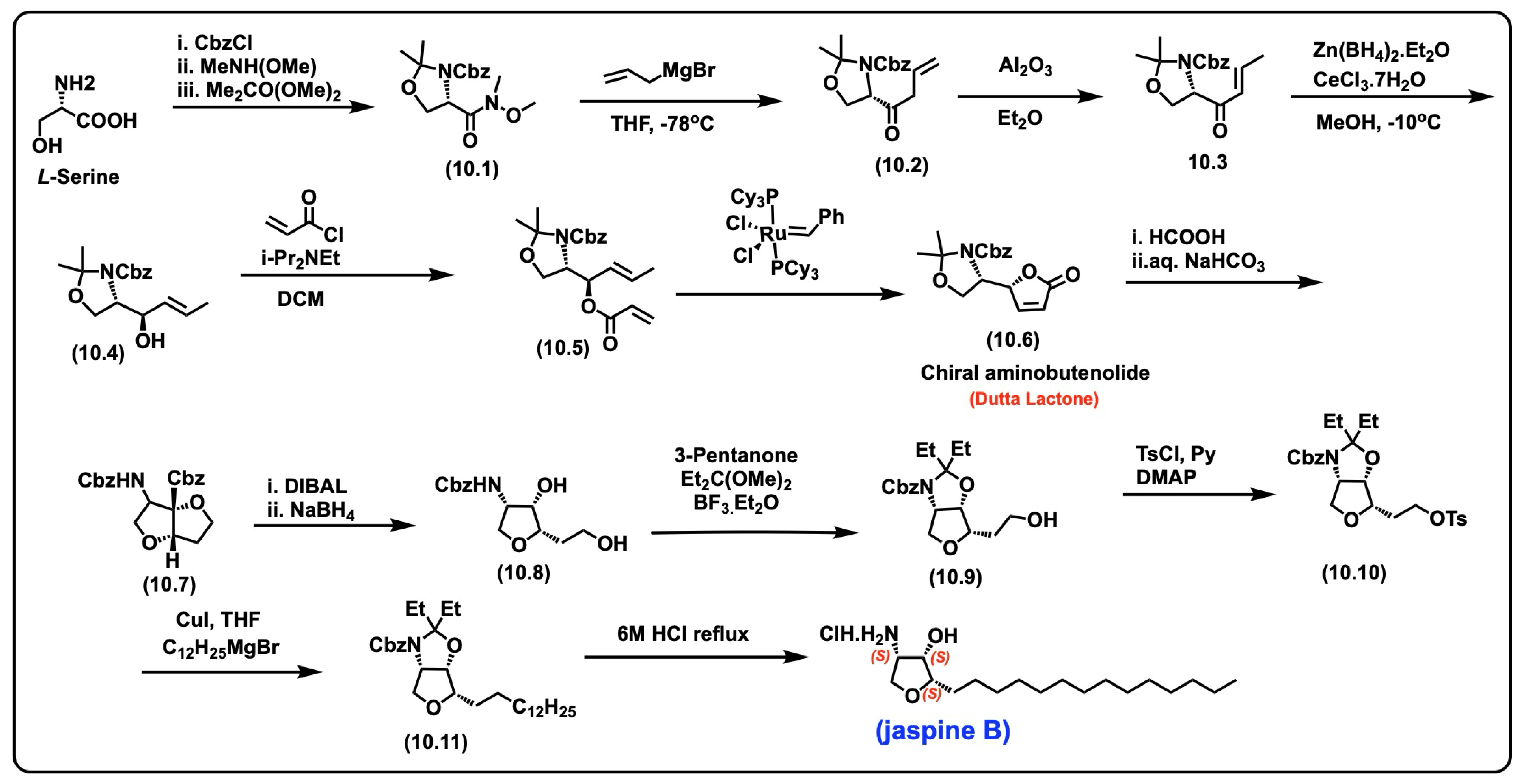 Biomolecules 15 01022 sch010 Biomolecules 15 01022 sch010