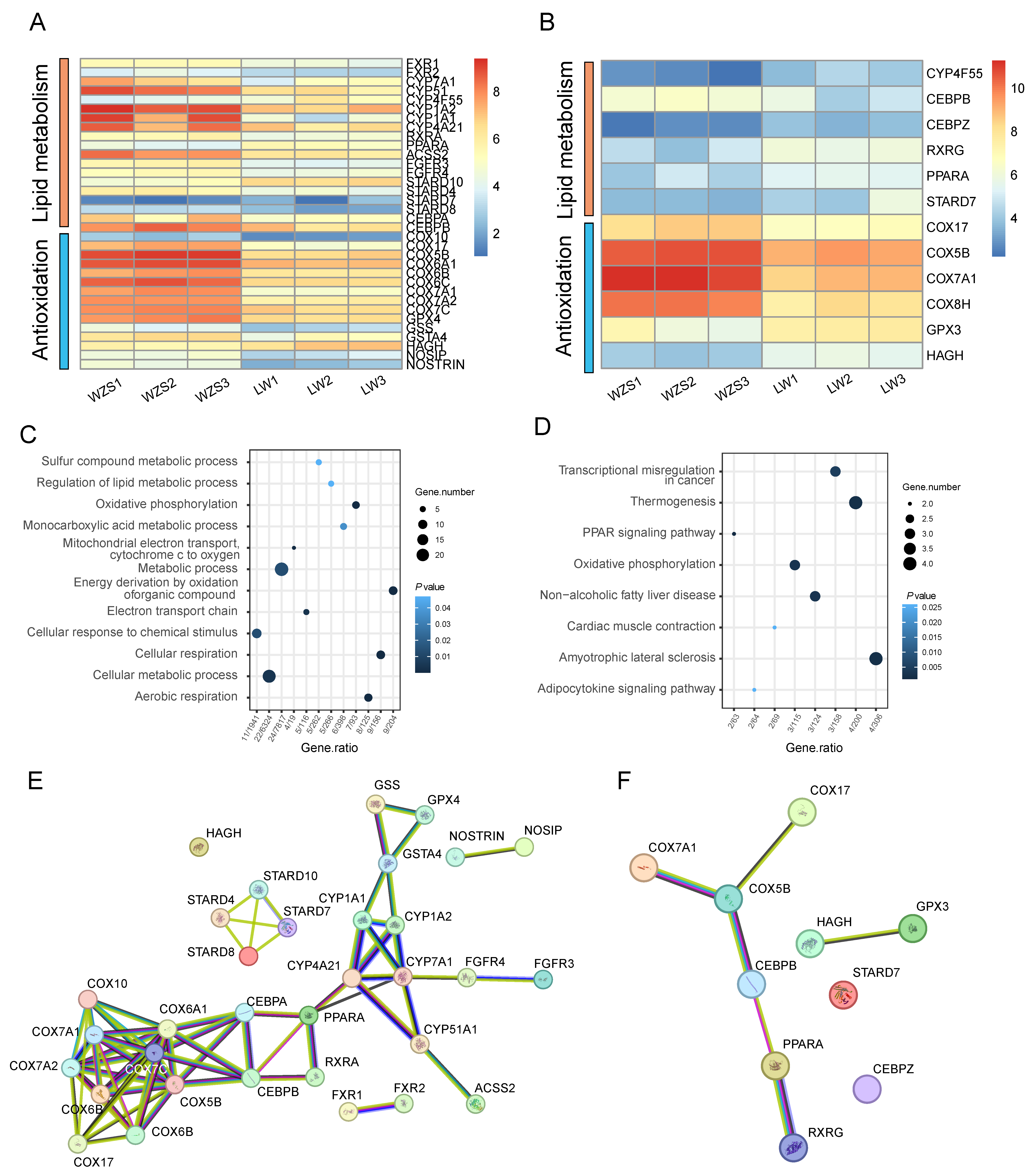 Biomolecules 15 01024 g001