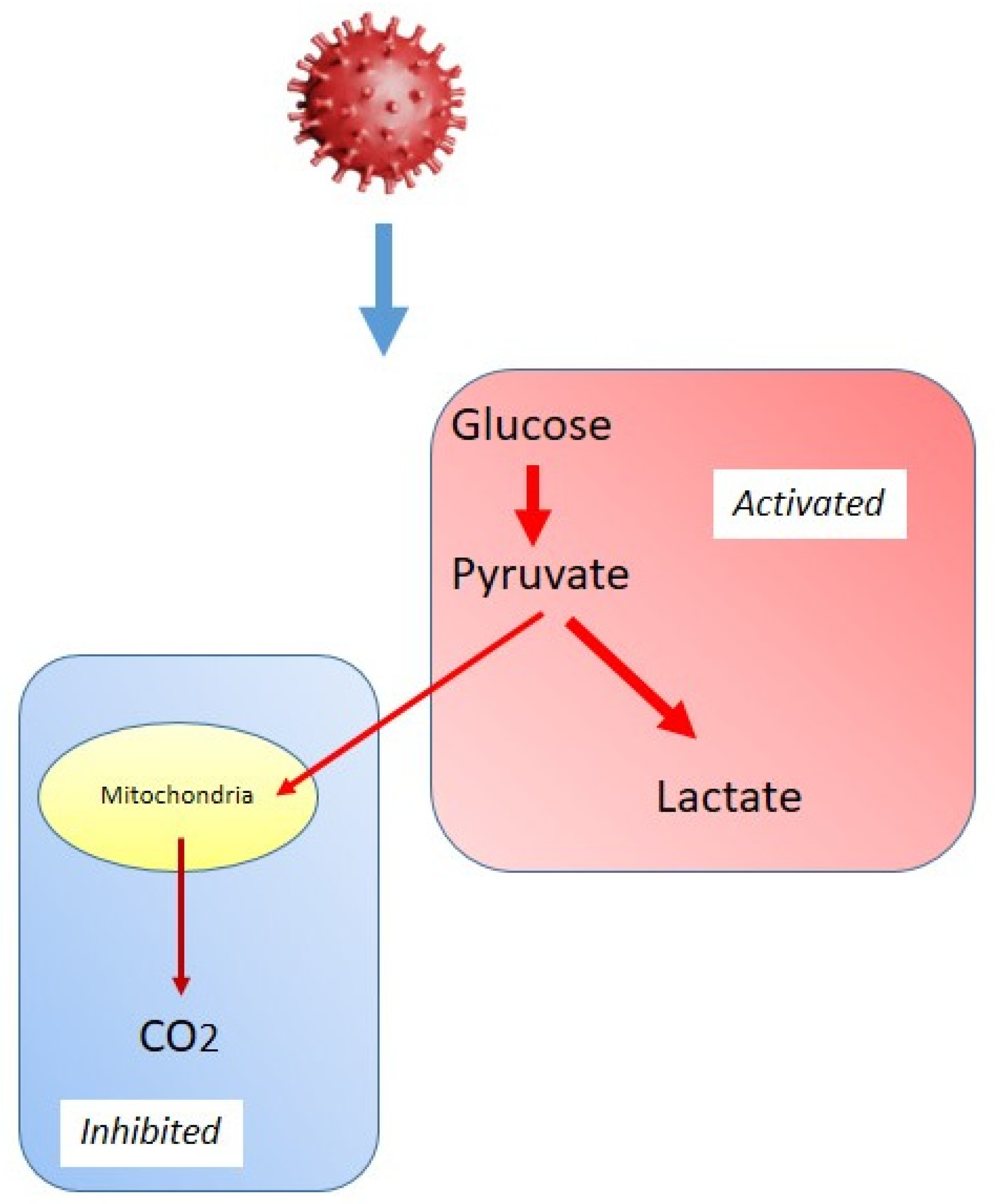 Biomolecules 15 01027 g004 Biomolecules 15 01027 g004