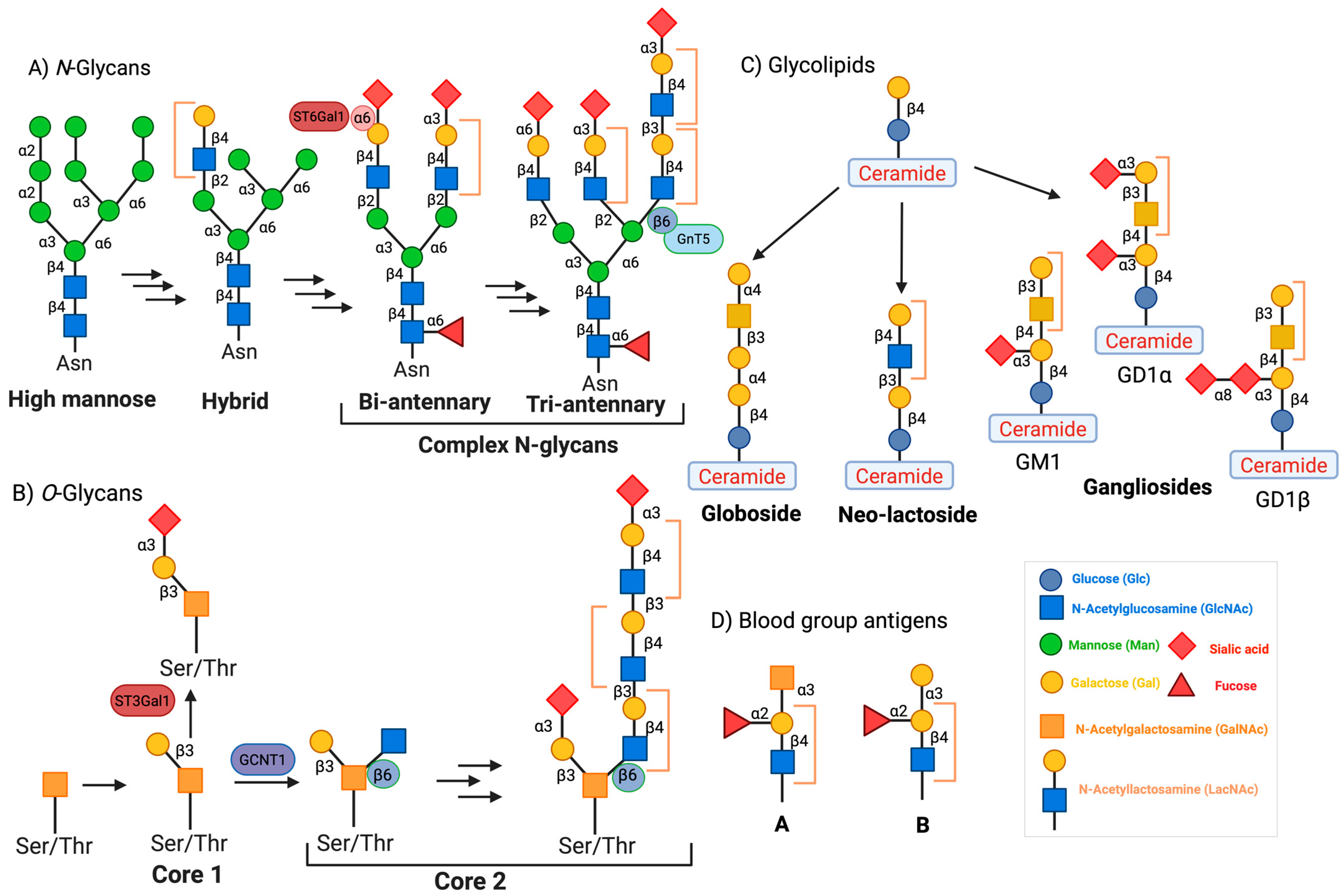 Biomolecules 15 01028 g002