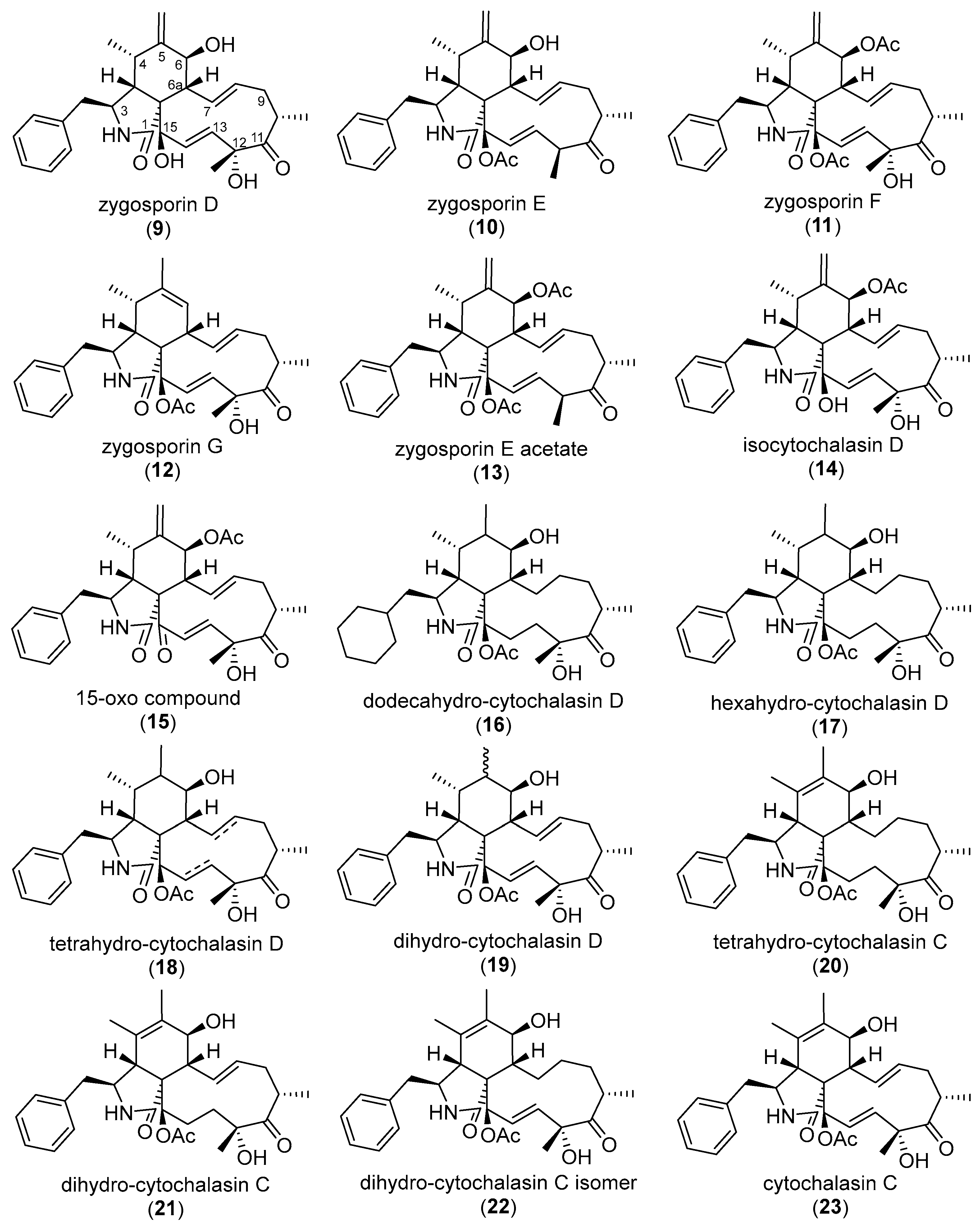 Biomolecules 15 01030 g003a