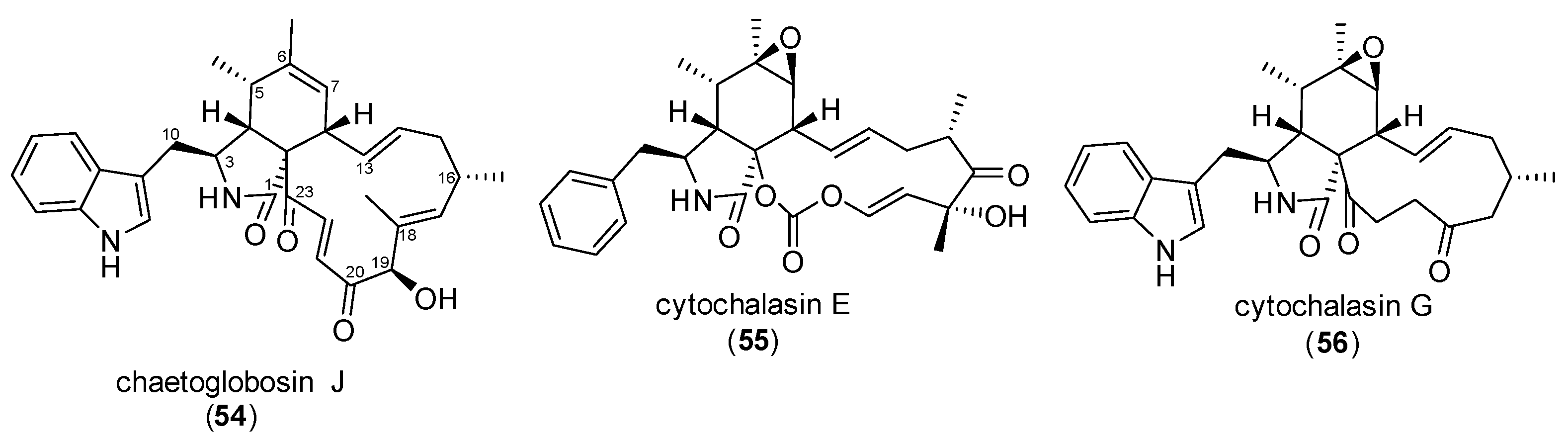 Biomolecules 15 01030 g005