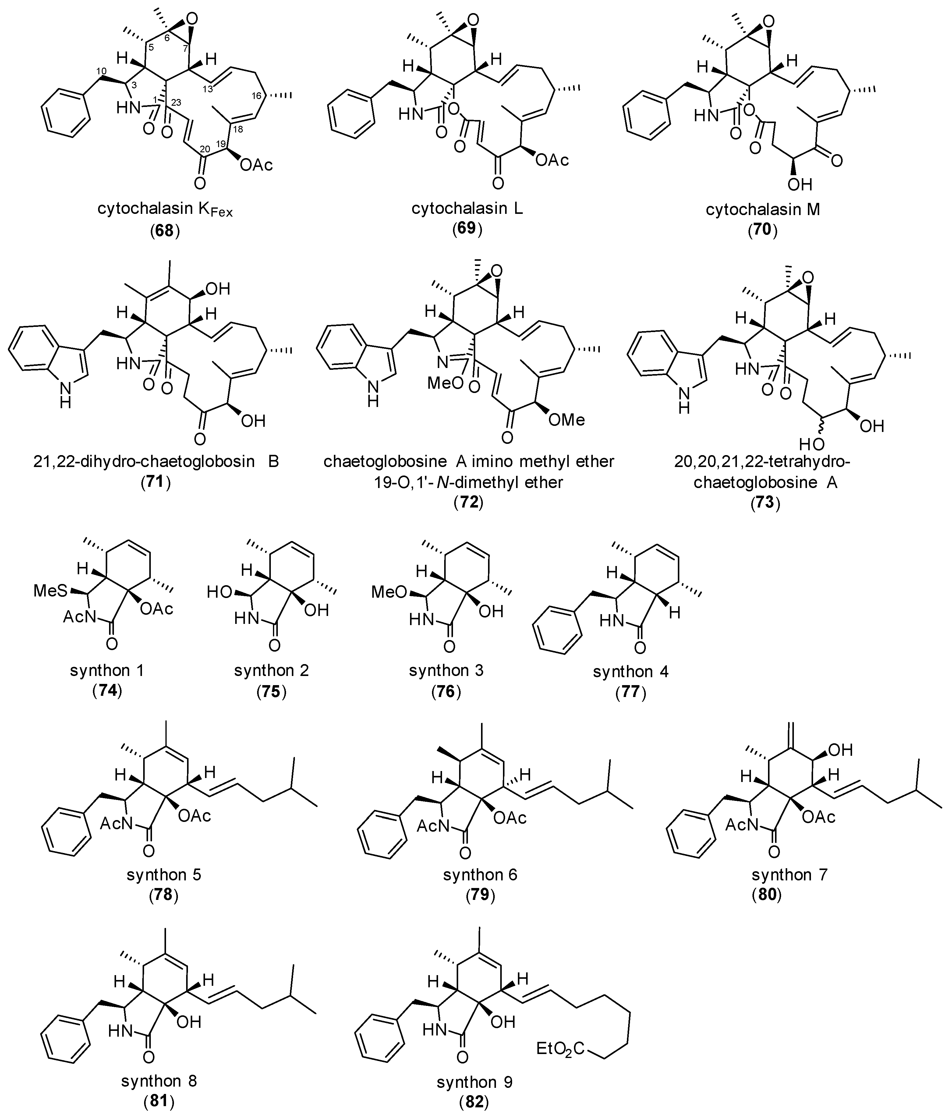 Biomolecules 15 01030 g007