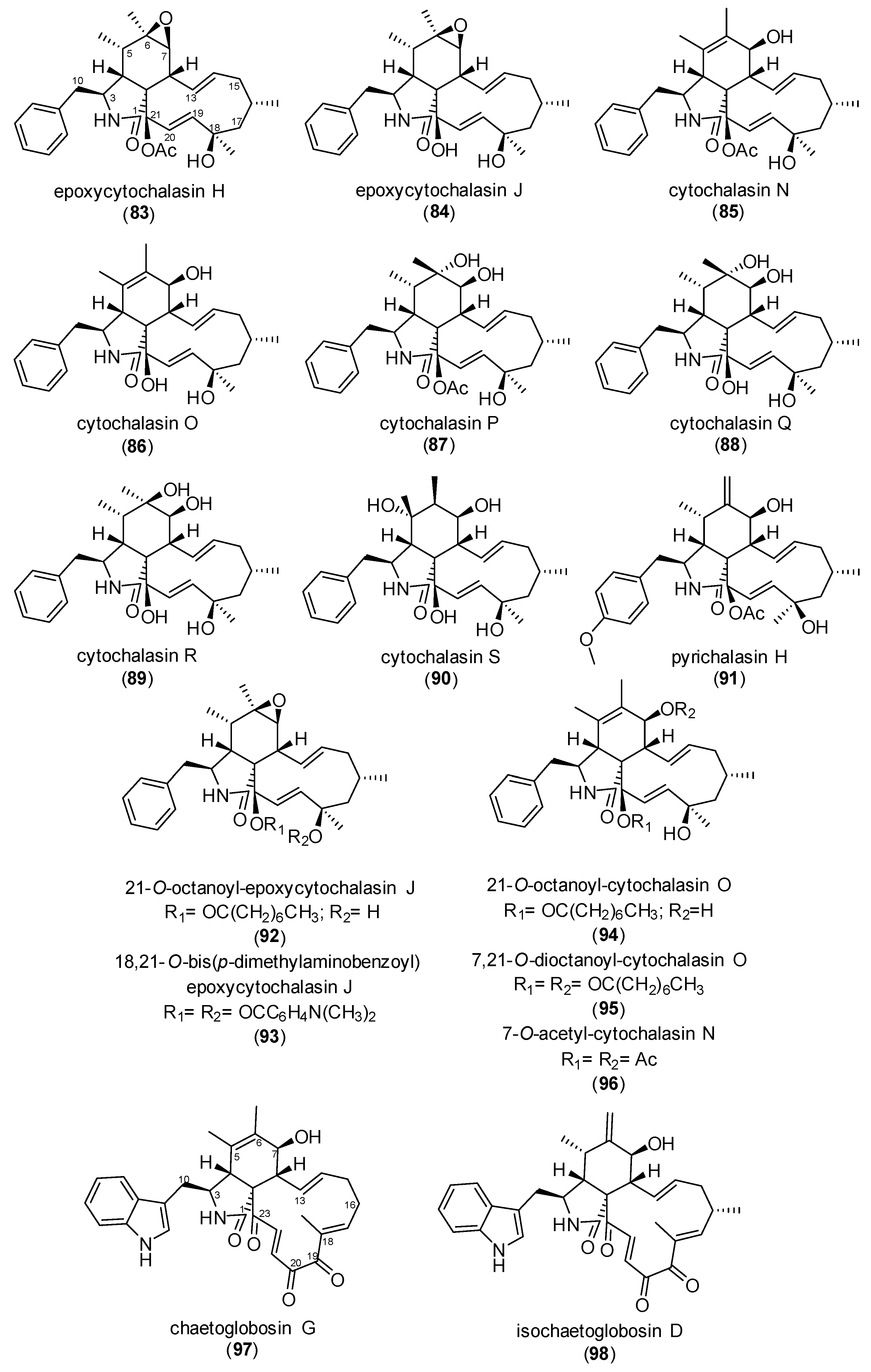 Biomolecules 15 01030 g008