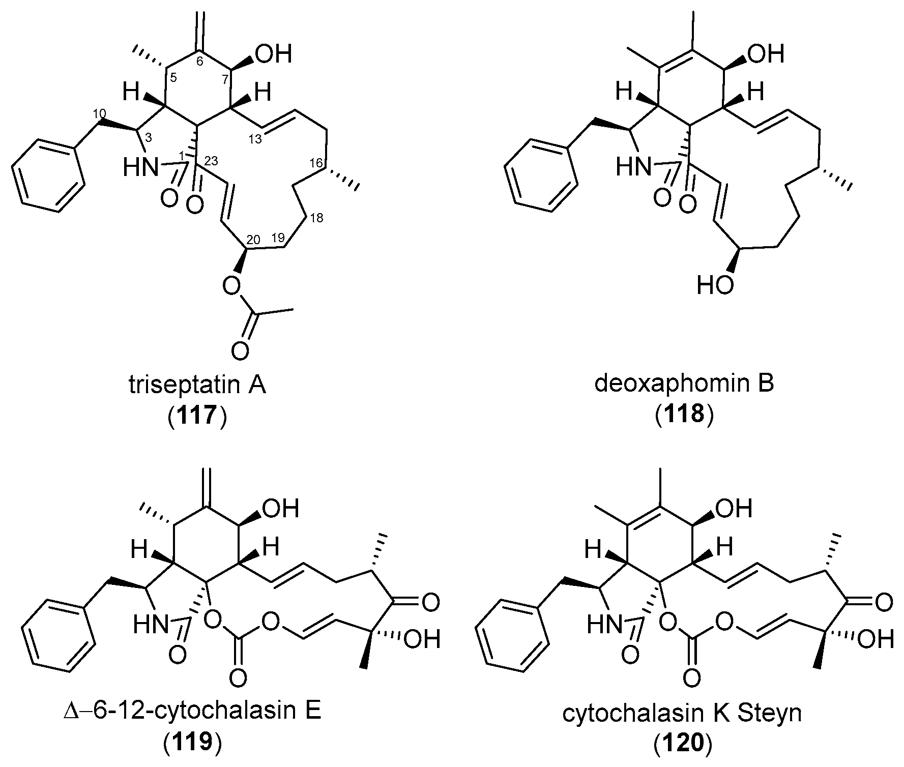 Biomolecules 15 01030 g010