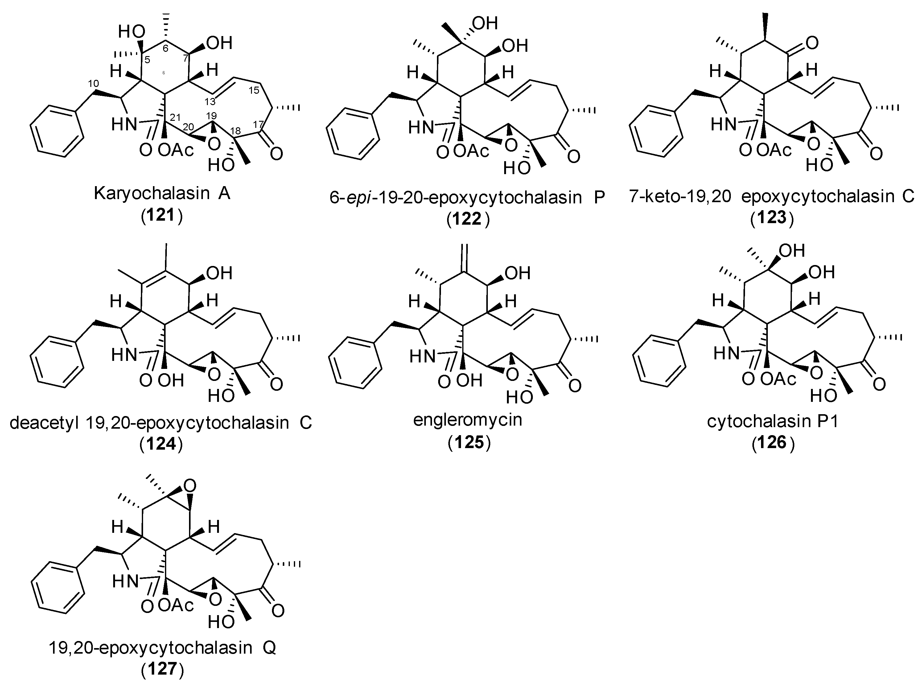 Biomolecules 15 01030 g011