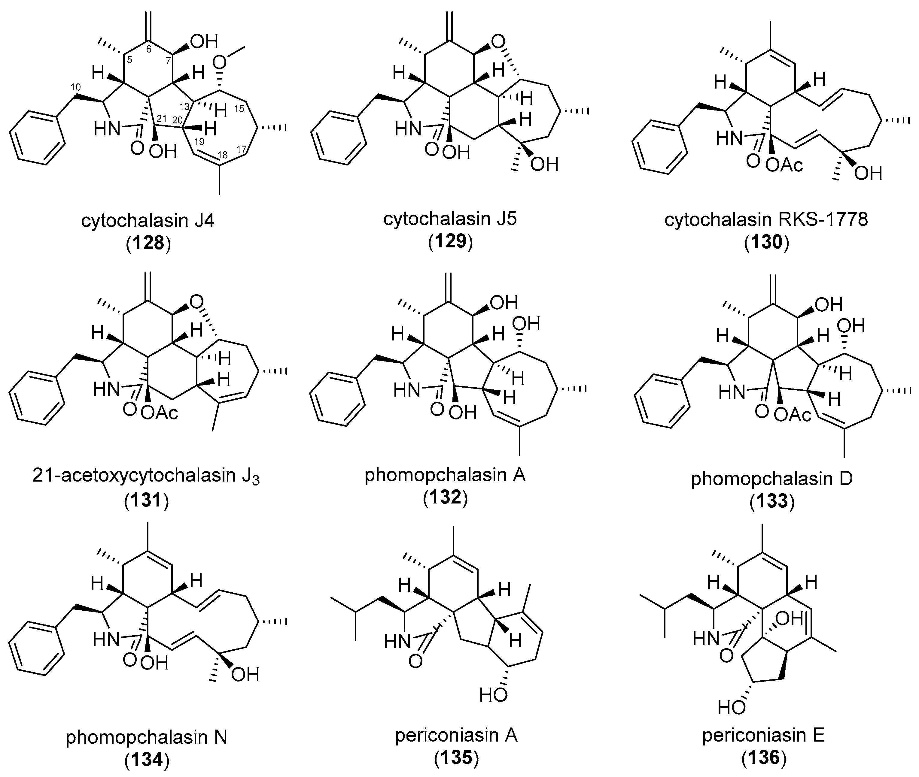 Biomolecules 15 01030 g012