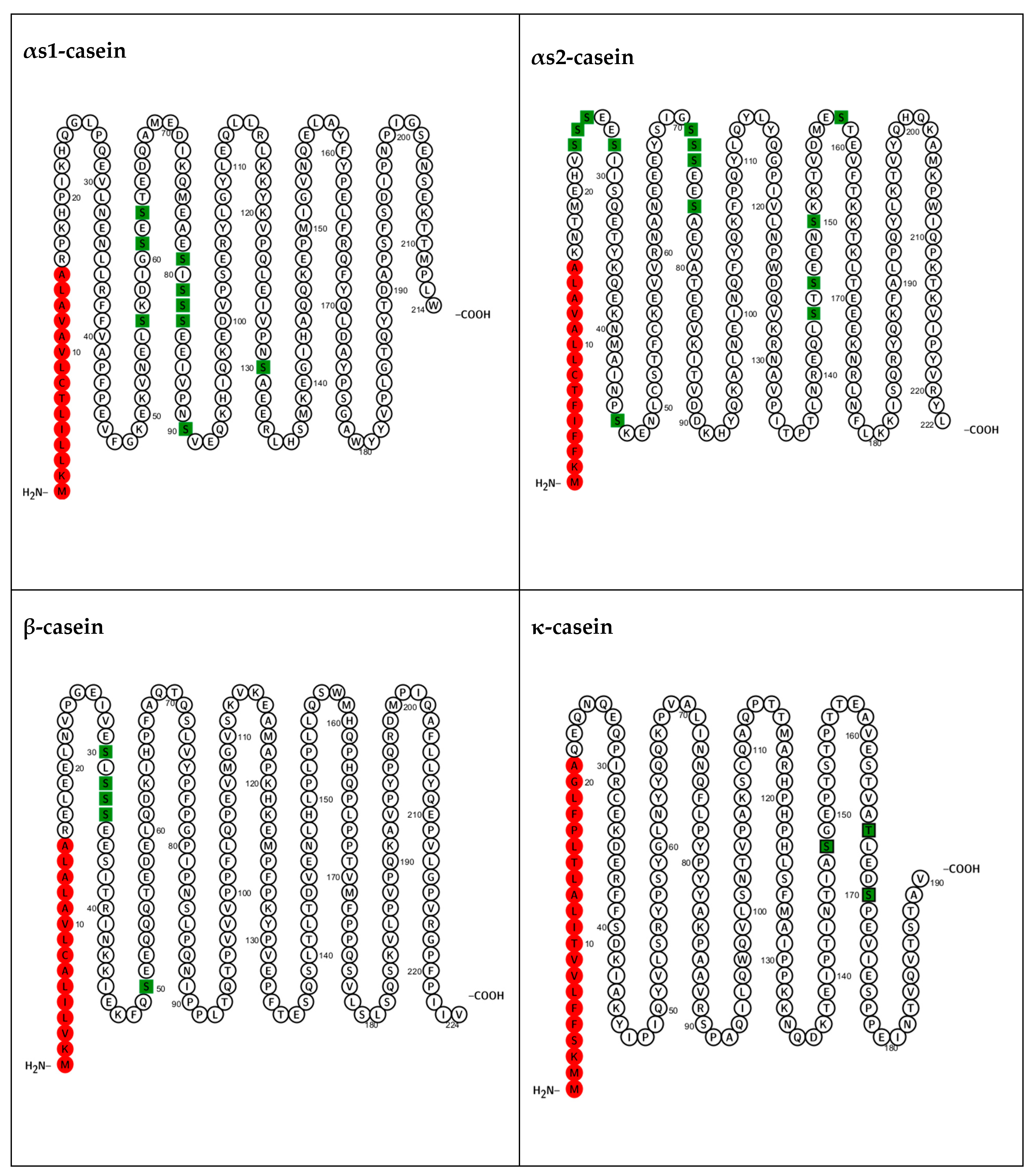Biomolecules 15 01031 g001