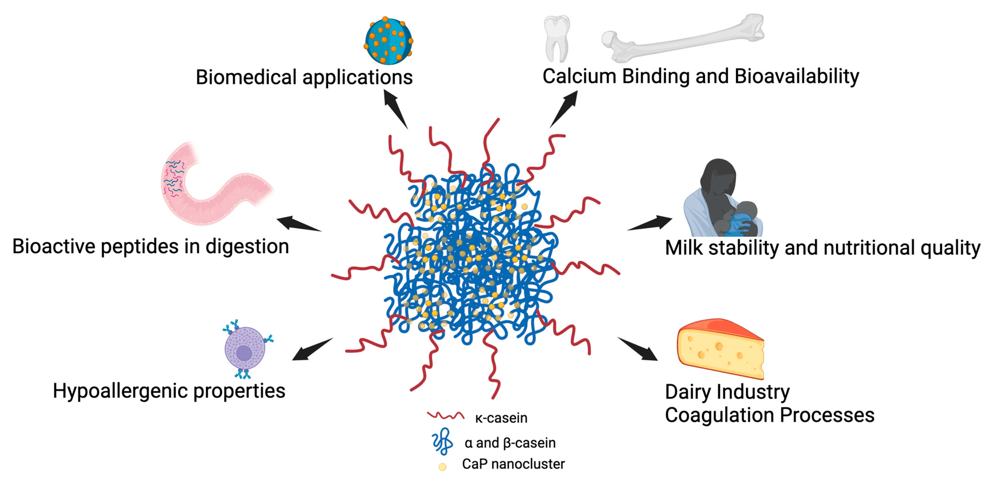 Biomolecules 15 01031 g002