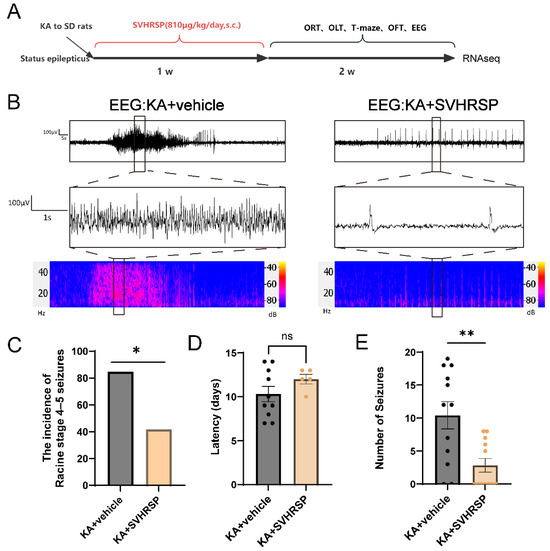 エナジーマーカー　E-33〜40セット The Role of Circadian Rhythm in Neurological Diseases: A